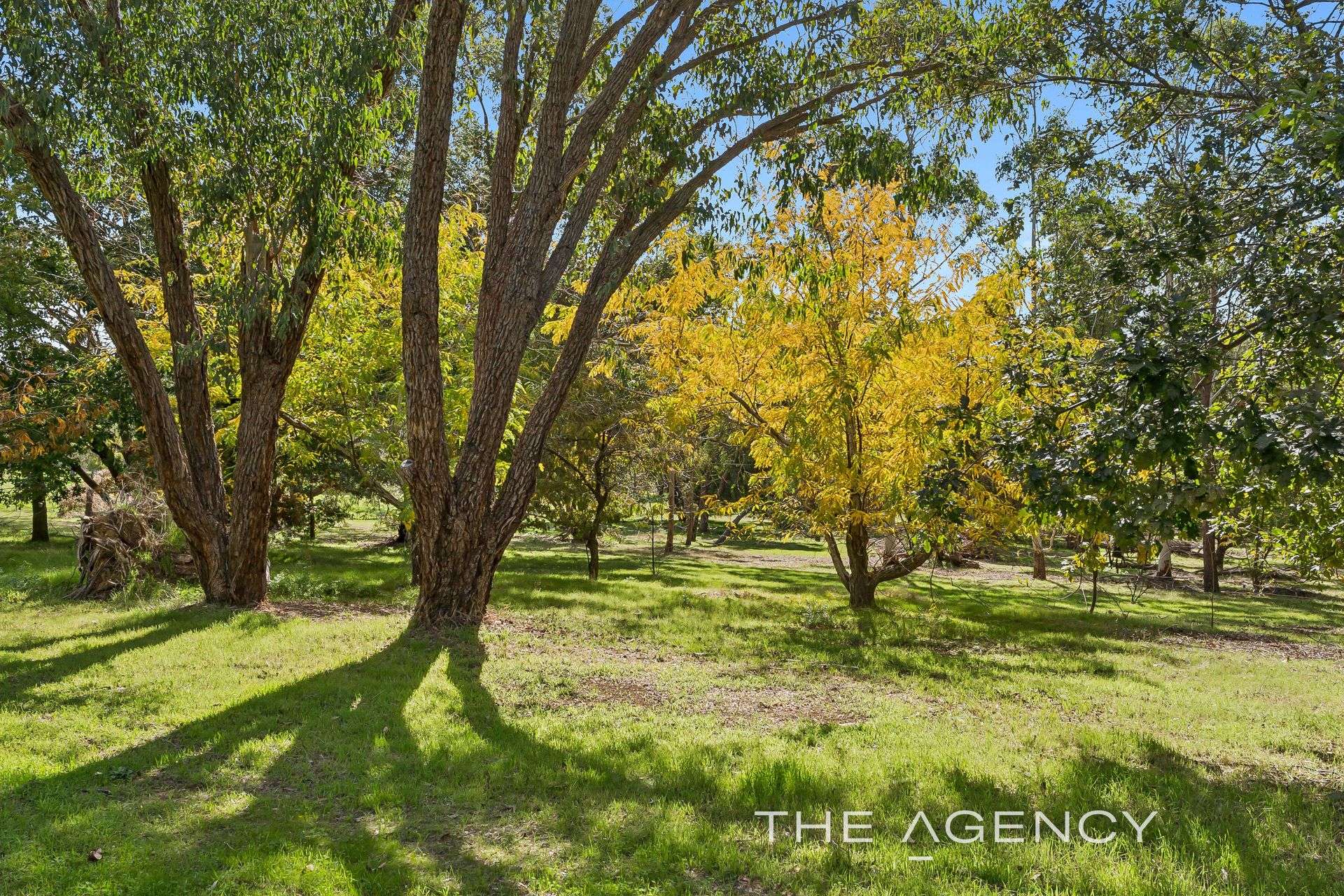 485 Clifton Road, Parkerville Sold by Farmbuy.com - image 2