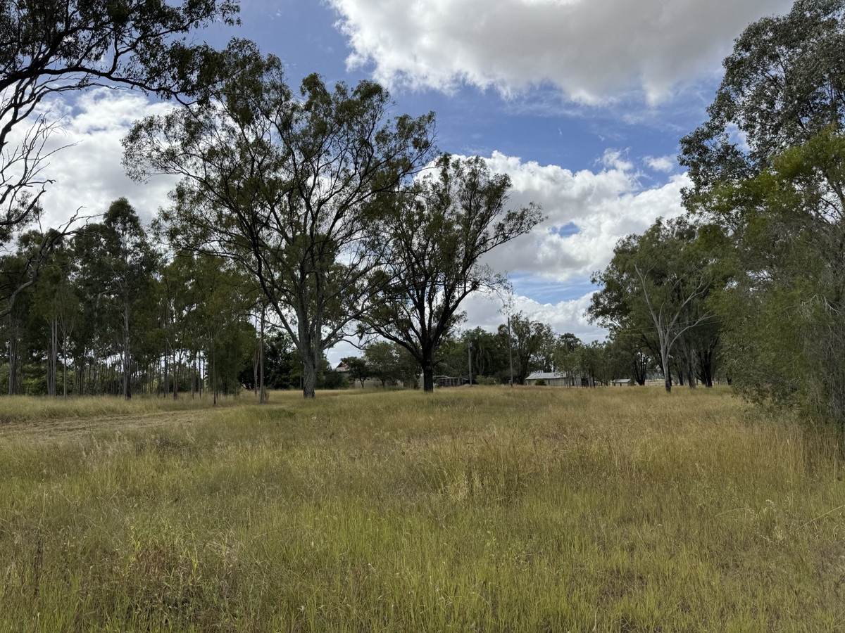 367 Airport Road, Monto For Sale by Farmbuy.com - image 23