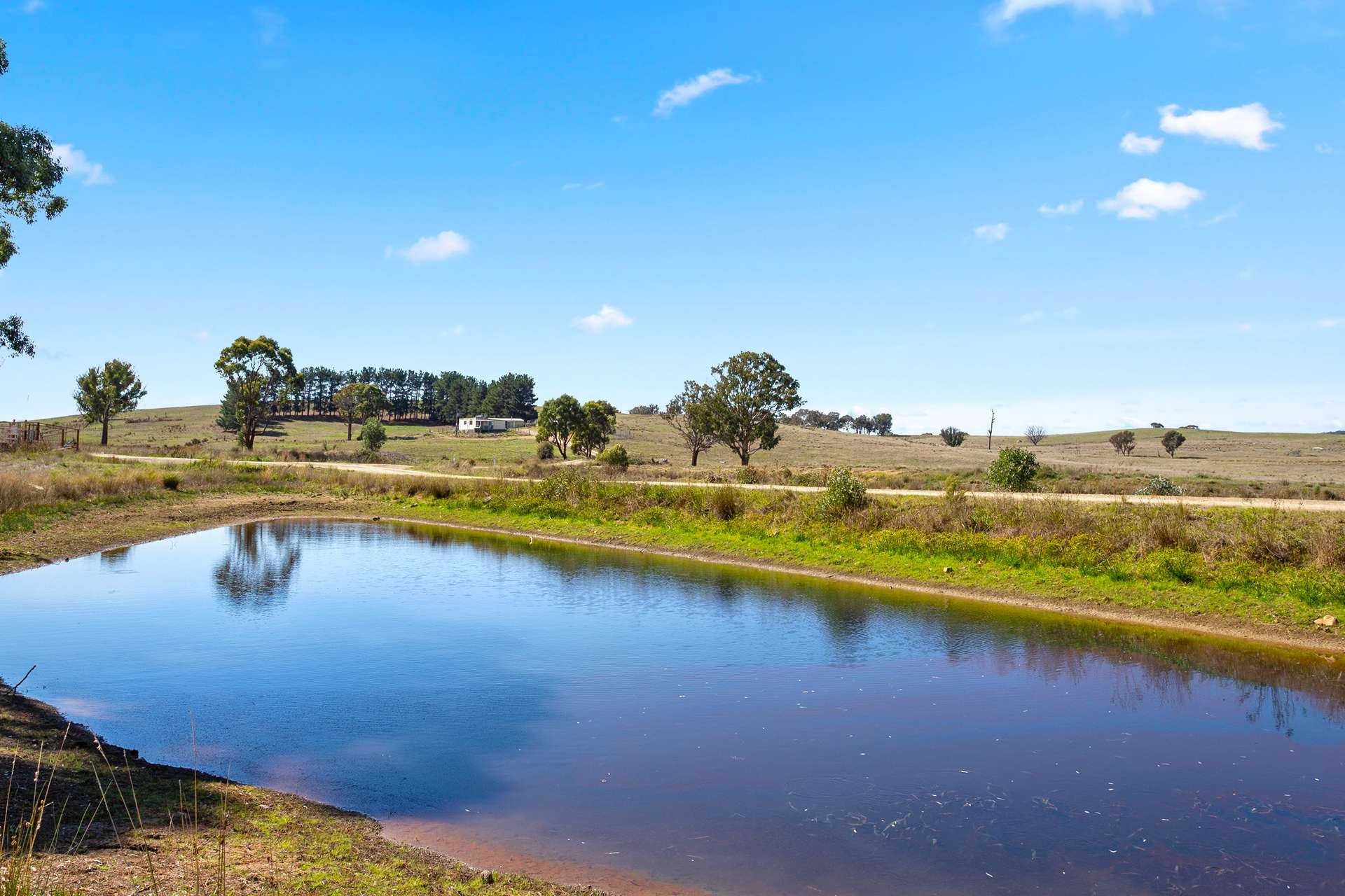 240 Shingle Hill Way, Gundaroo For Sale by Farmbuy.com - image 30