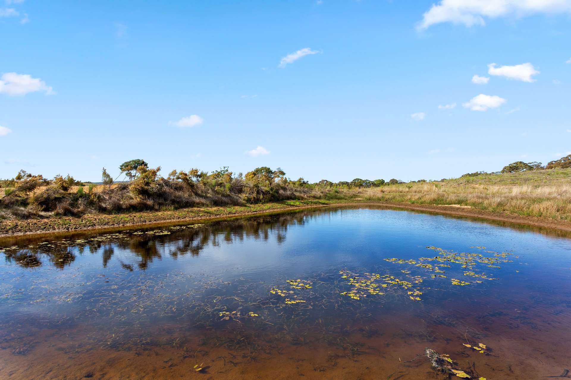 240 Shingle Hill Way, Gundaroo For Sale by Farmbuy.com - image 31