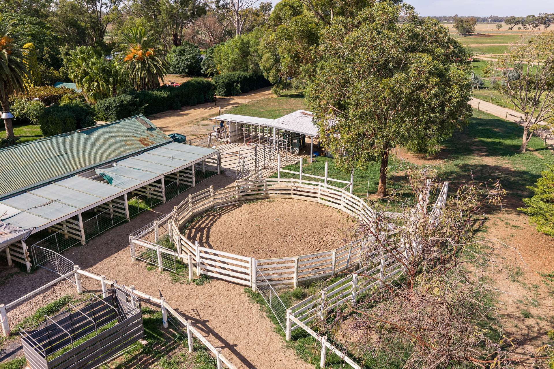 1350 River Road, Toolamba For Sale by Farmbuy.com - image 14