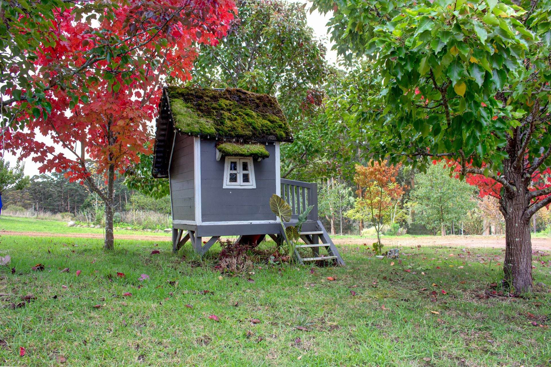 185 Howe Road, Scotsdale Sold by Farmbuy.com - image 20