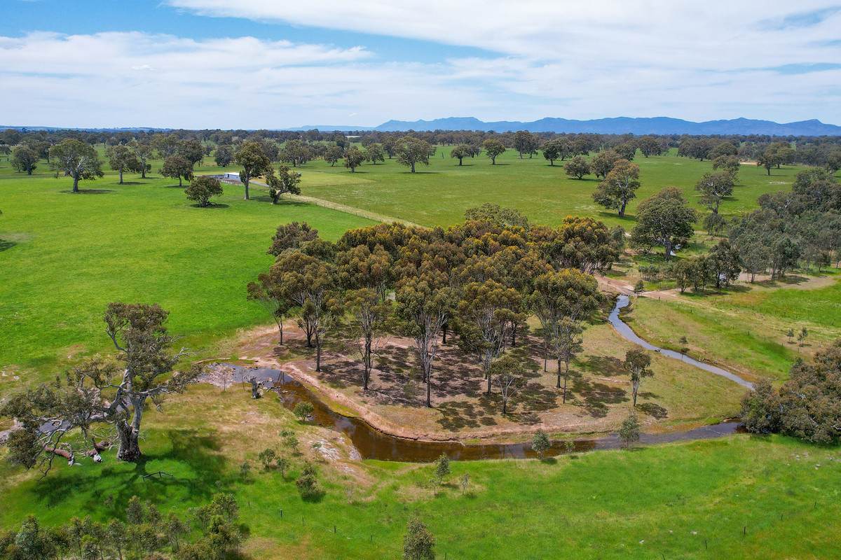 Mount Cavendish Road, Cavendish For Sale by Farmbuy.com - image 17