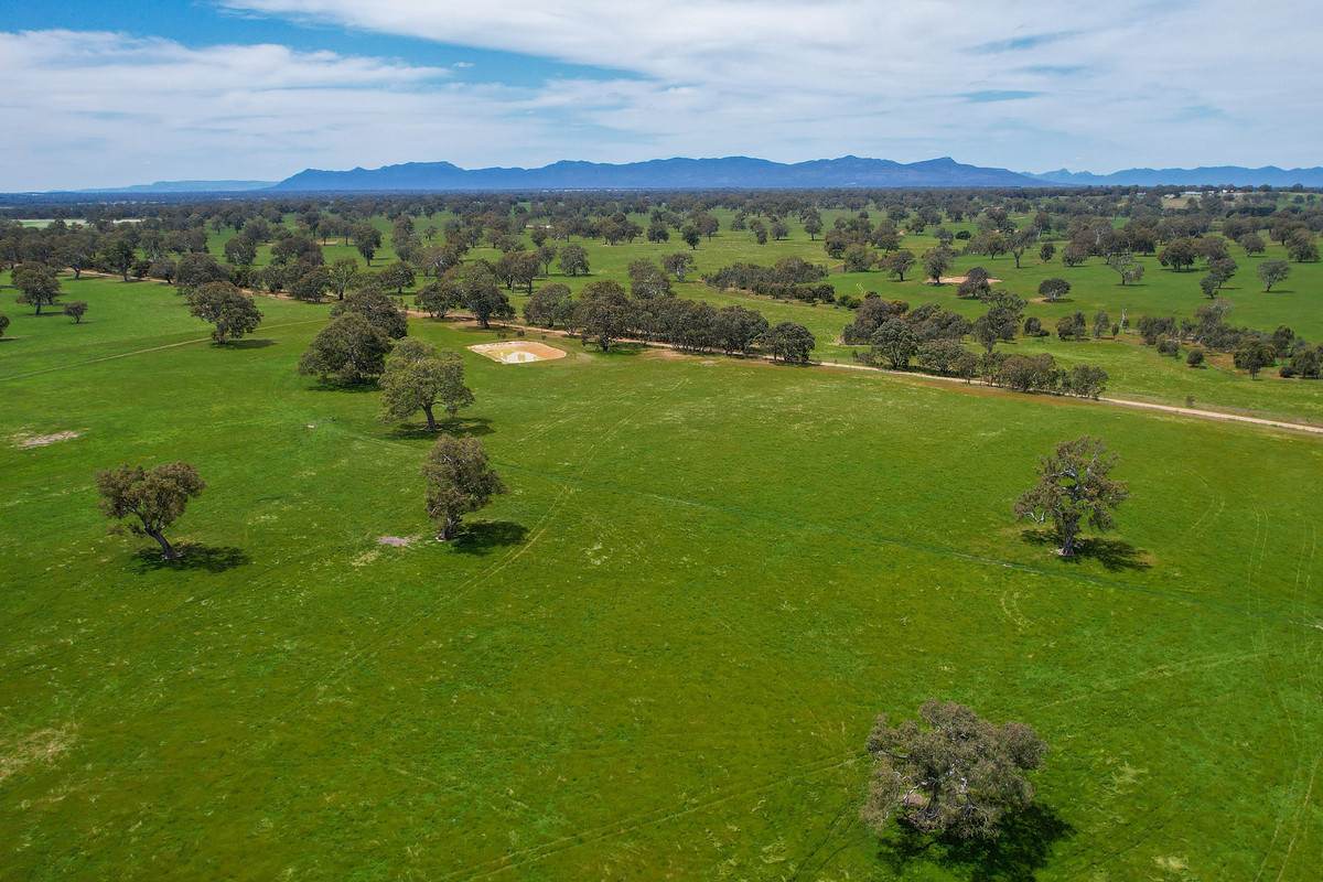 Mount Cavendish Road, Cavendish For Sale by Farmbuy.com - image 24