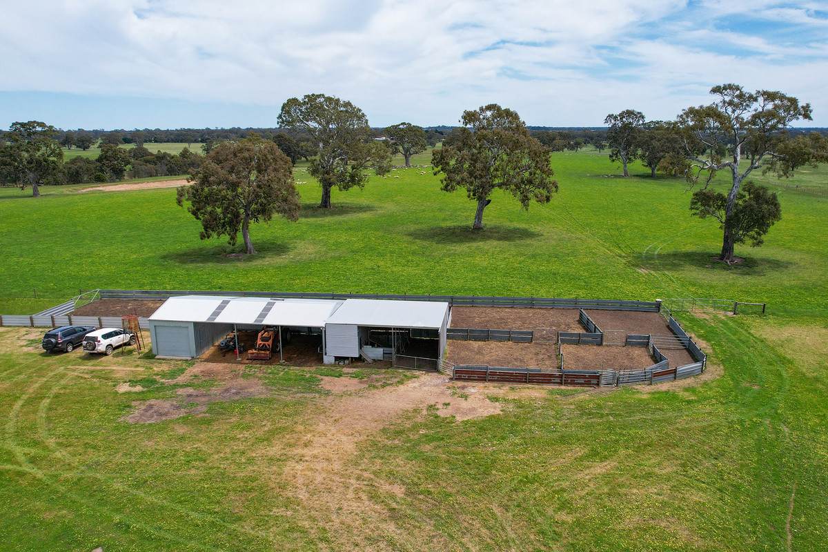 Mount Cavendish Road, Cavendish For Sale by Farmbuy.com - image 10