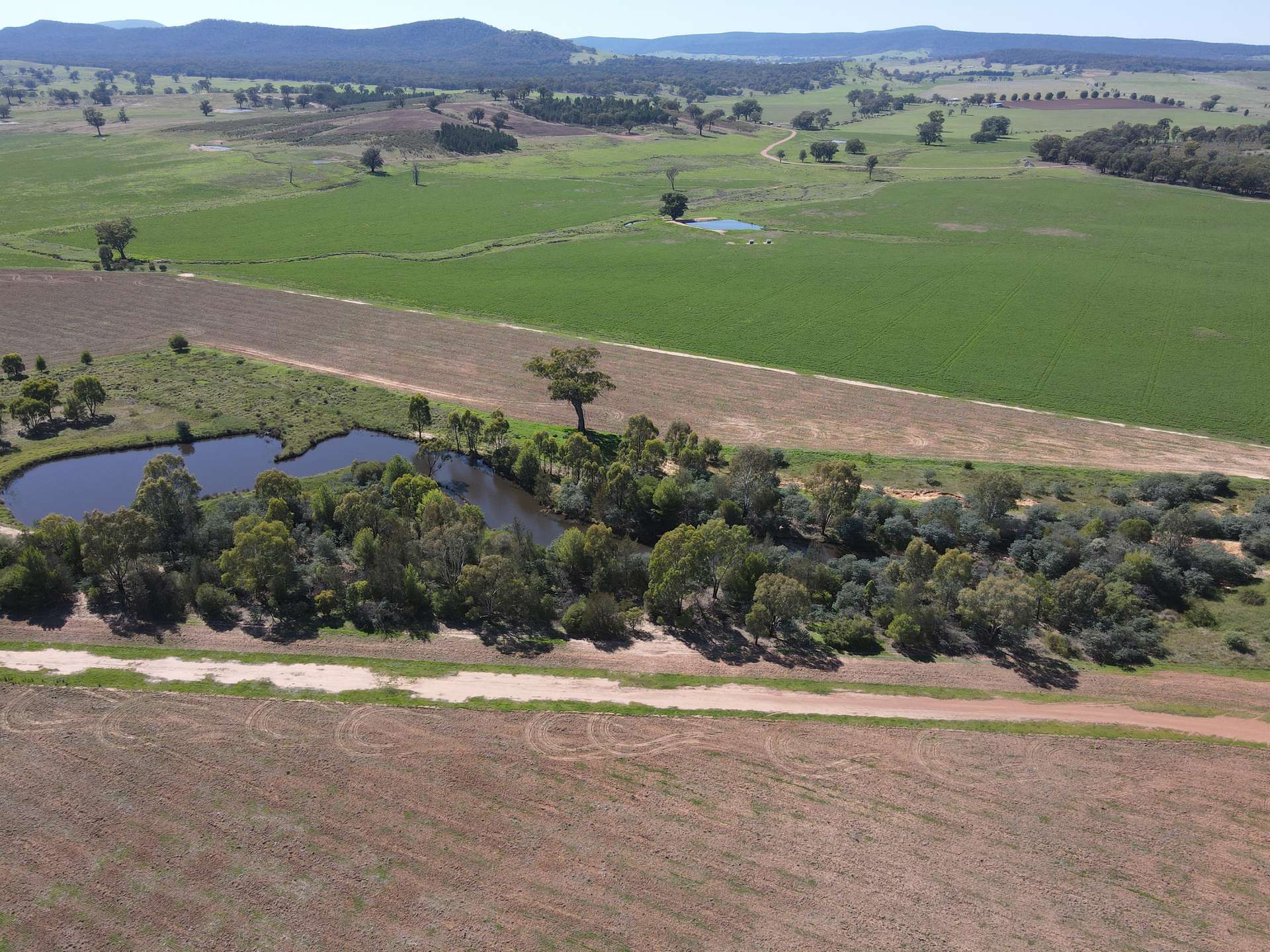 "Parkside" 679 Adelargo Road, Grenfell For Sale by Farmbuy.com - image 5