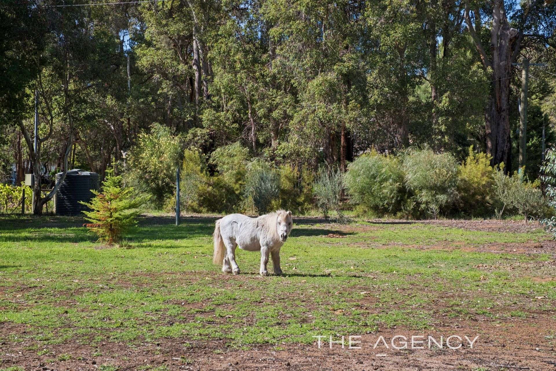 2925 Lilydale Road, Chidlow For Sale by Farmbuy.com - image 25