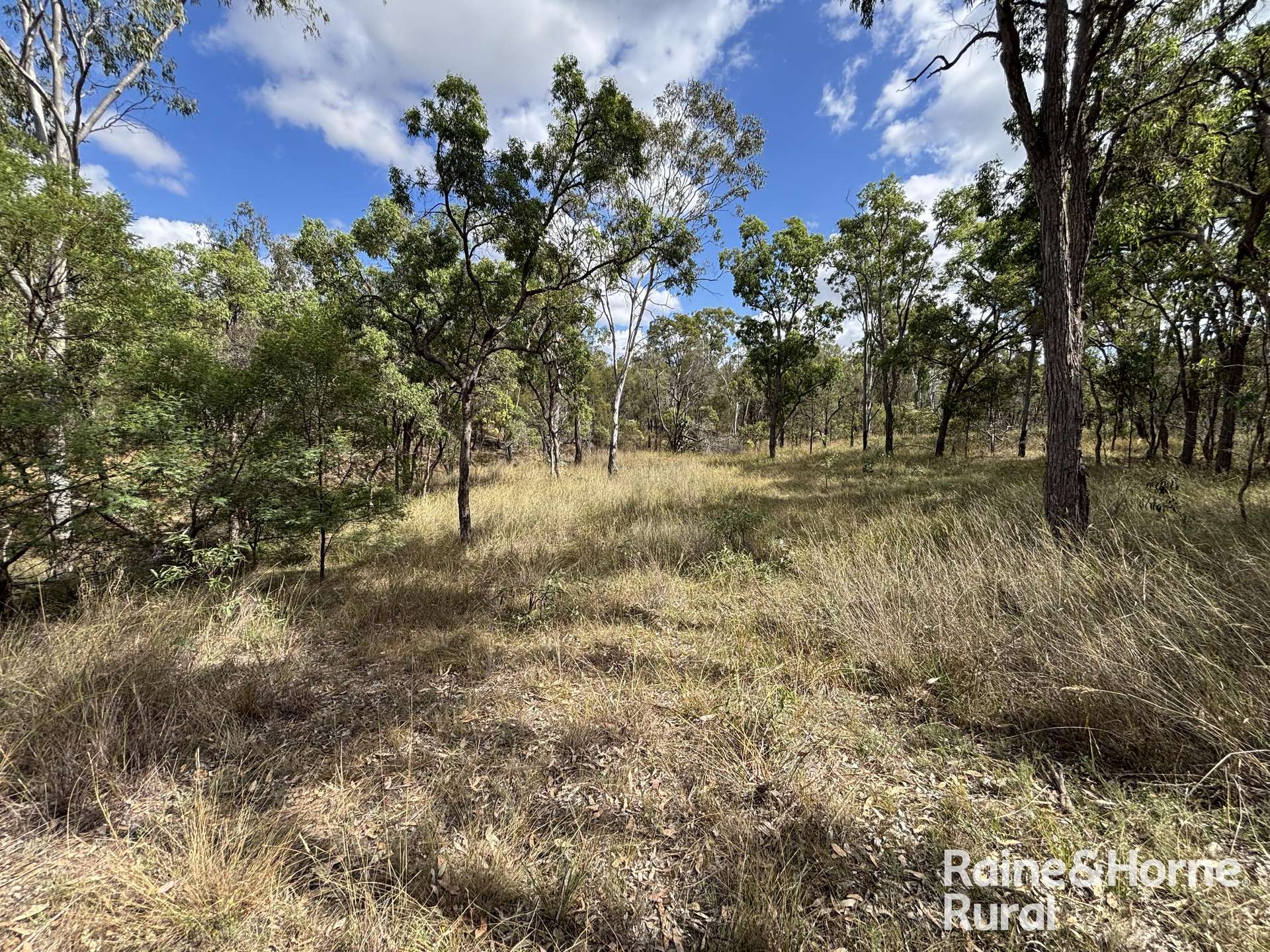 Lot 47 Mclean Road, Durong Sold by Farmbuy.com - image 16