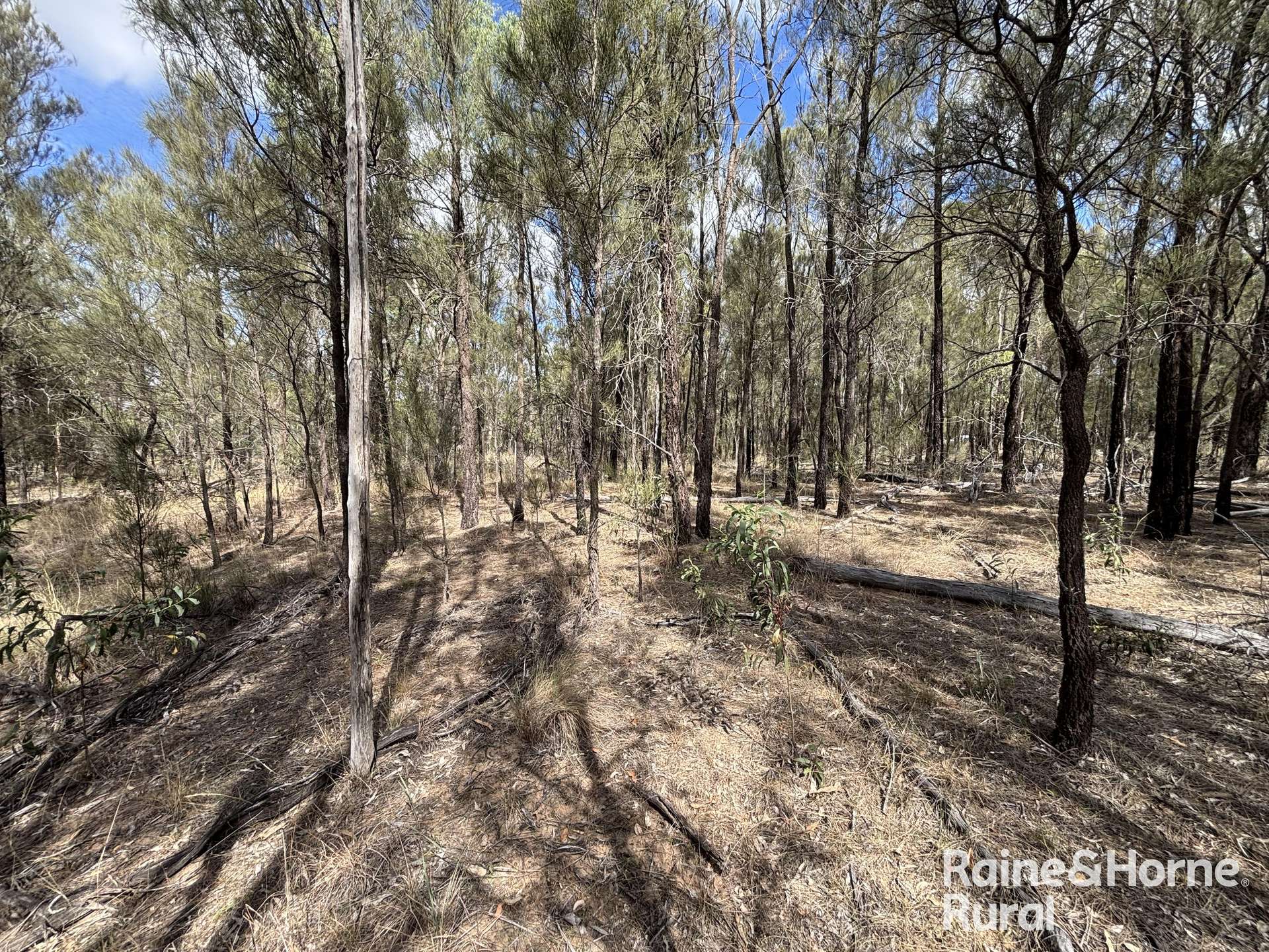 Lot 47 Mclean Road, Durong Sold by Farmbuy.com - image 18