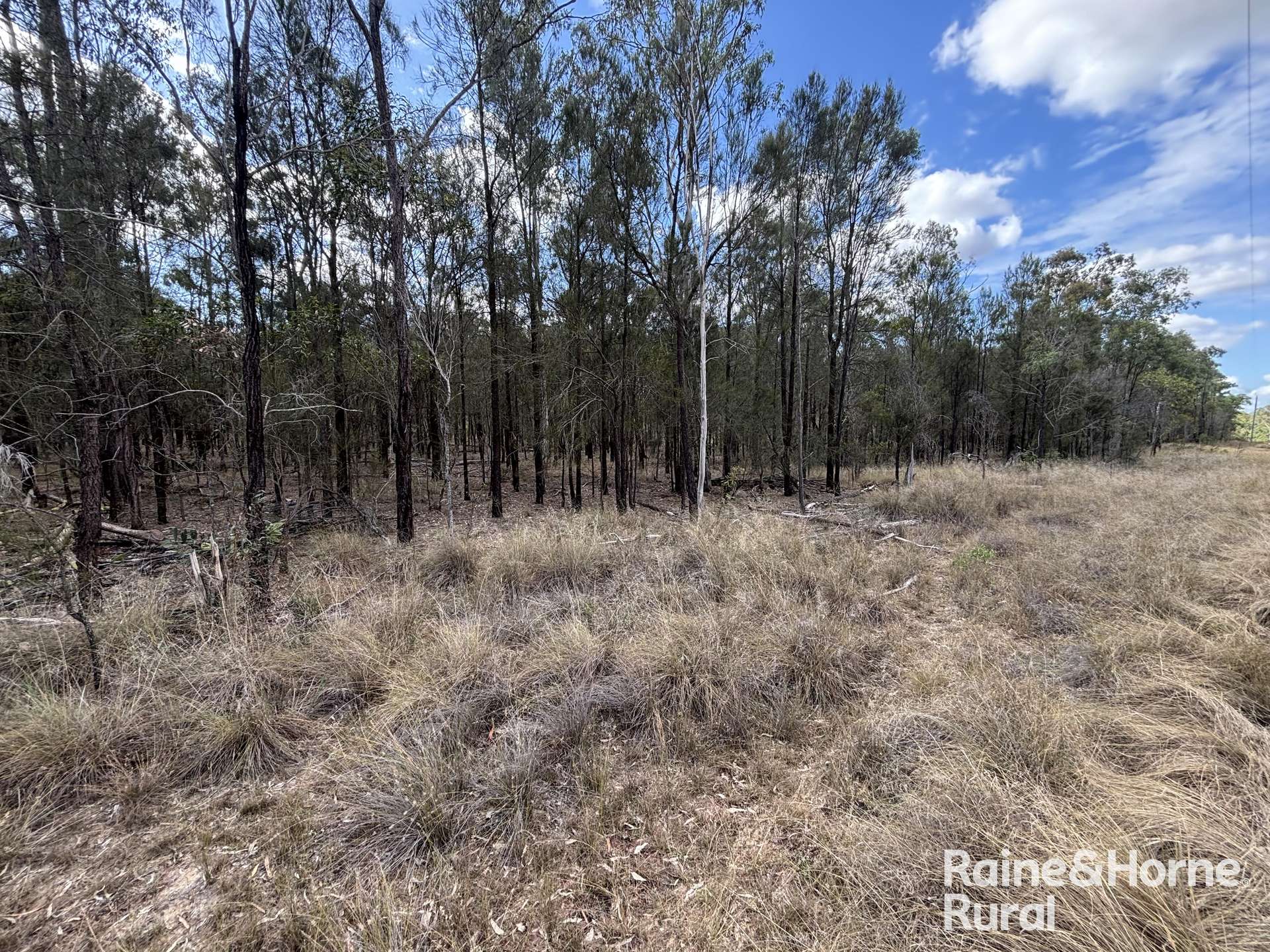 Lot 47 Mclean Road, Durong Sold by Farmbuy.com - image 4