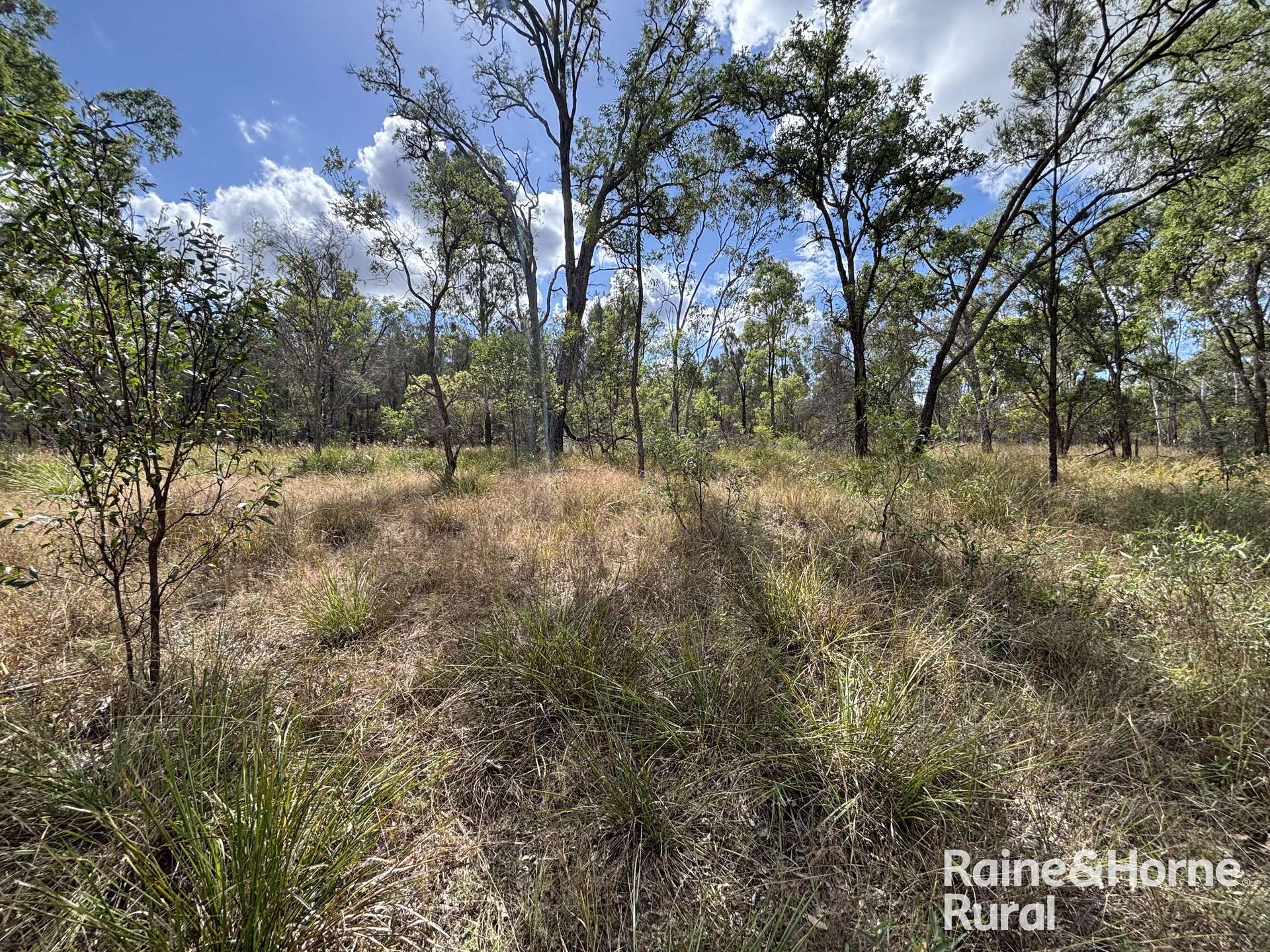 Lot 47 Mclean Road, Durong Sold by Farmbuy.com - image 14