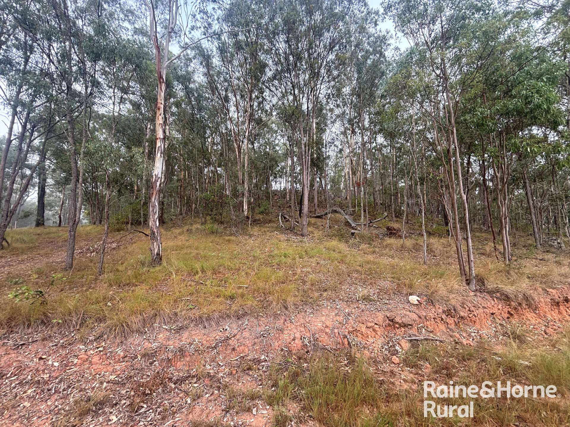 397 Wattle Camp Road, Wattle Camp For Sale by Farmbuy.com - image 4