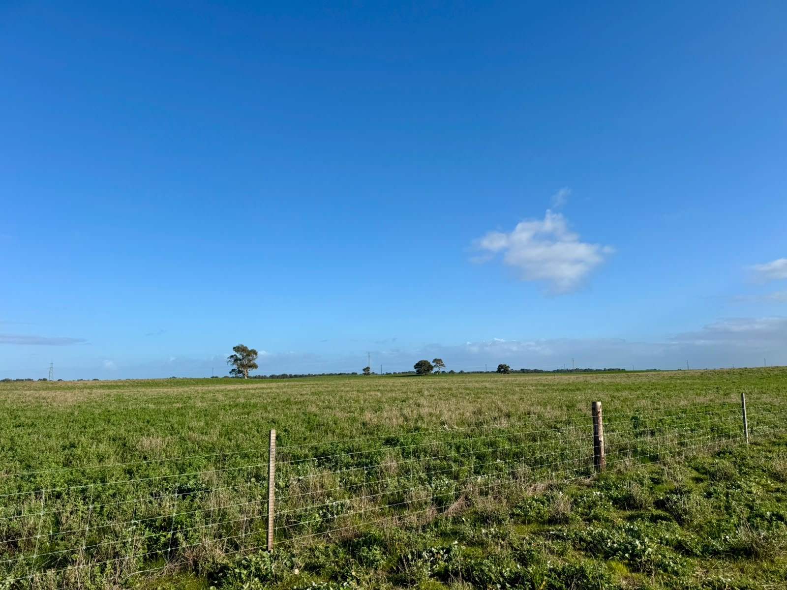 1708 Riddoch Highway, Keith For Sale by Farmbuy.com - image 11