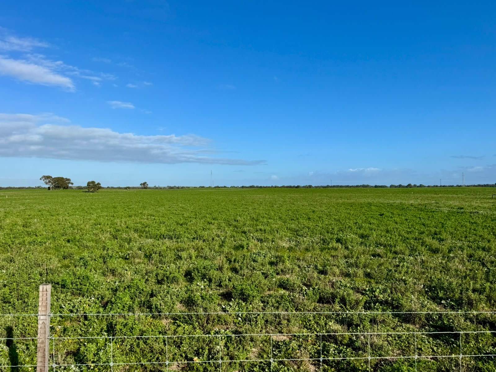1708 Riddoch Highway, Keith For Sale by Farmbuy.com - image 18
