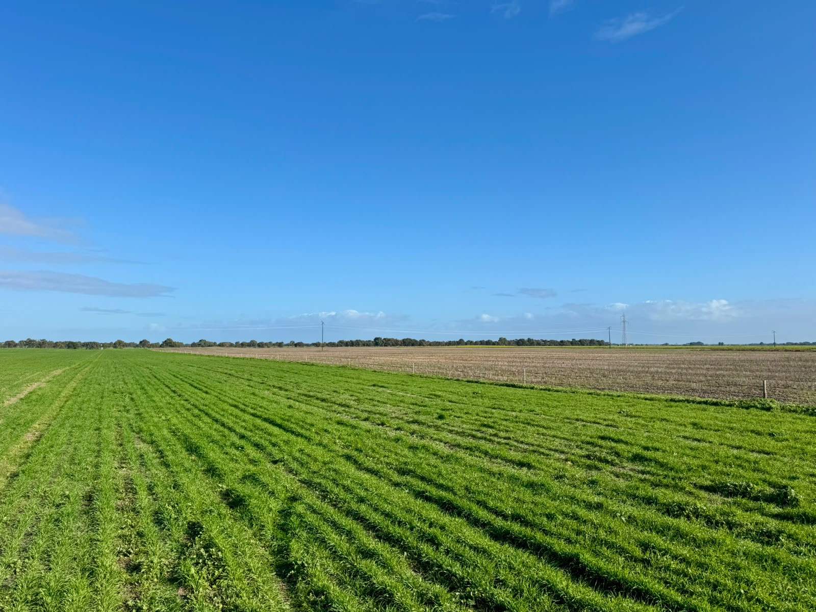 1708 Riddoch Highway, Keith For Sale by Farmbuy.com - image 16