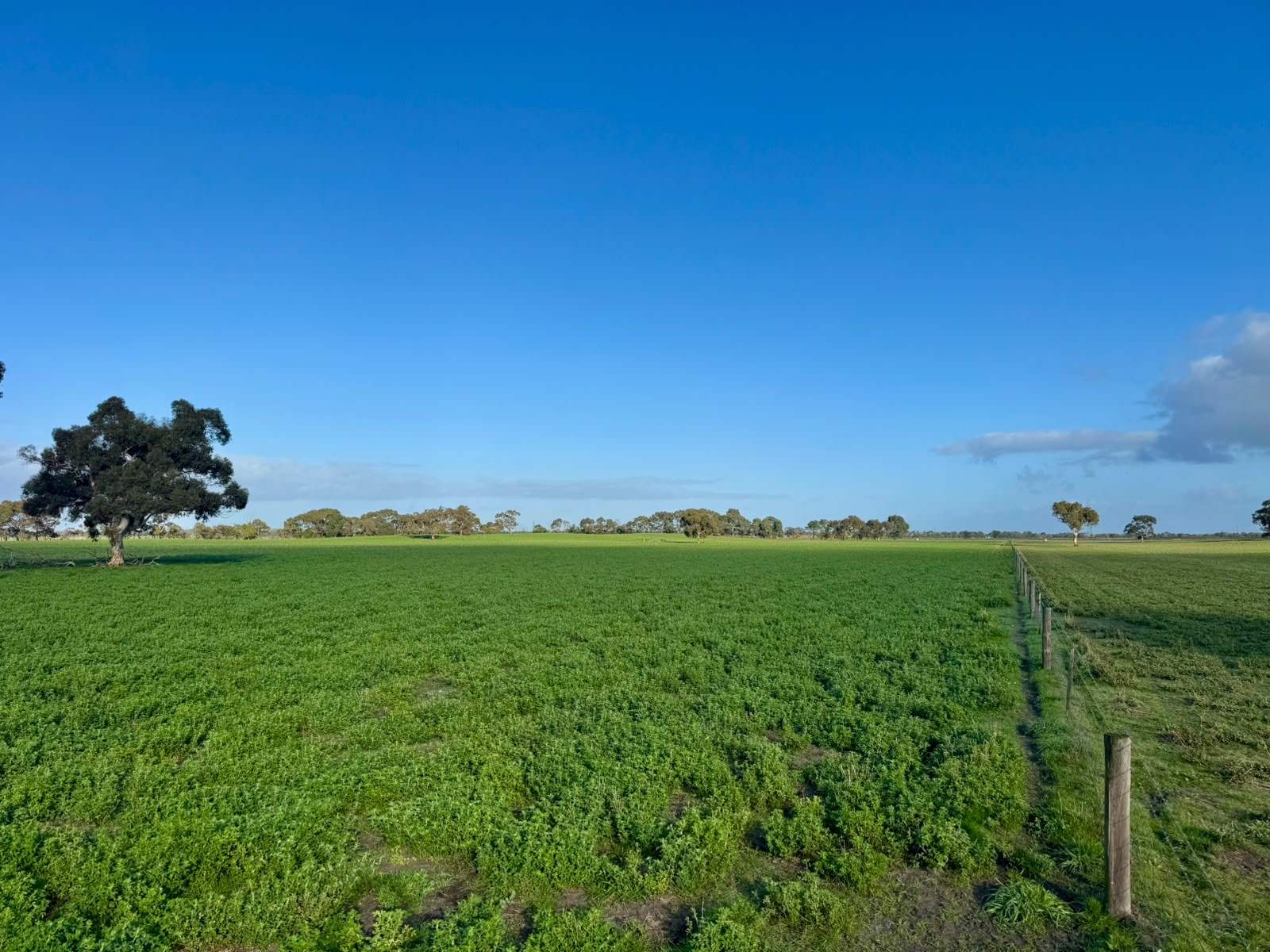 1708 Riddoch Highway, Keith For Sale by Farmbuy.com - image 15