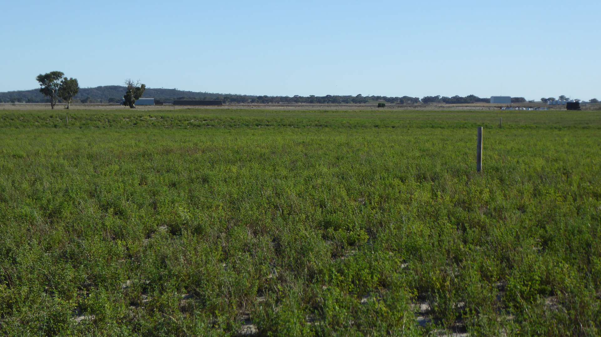 1708 Riddoch Highway, Keith For Sale by Farmbuy.com - image 7