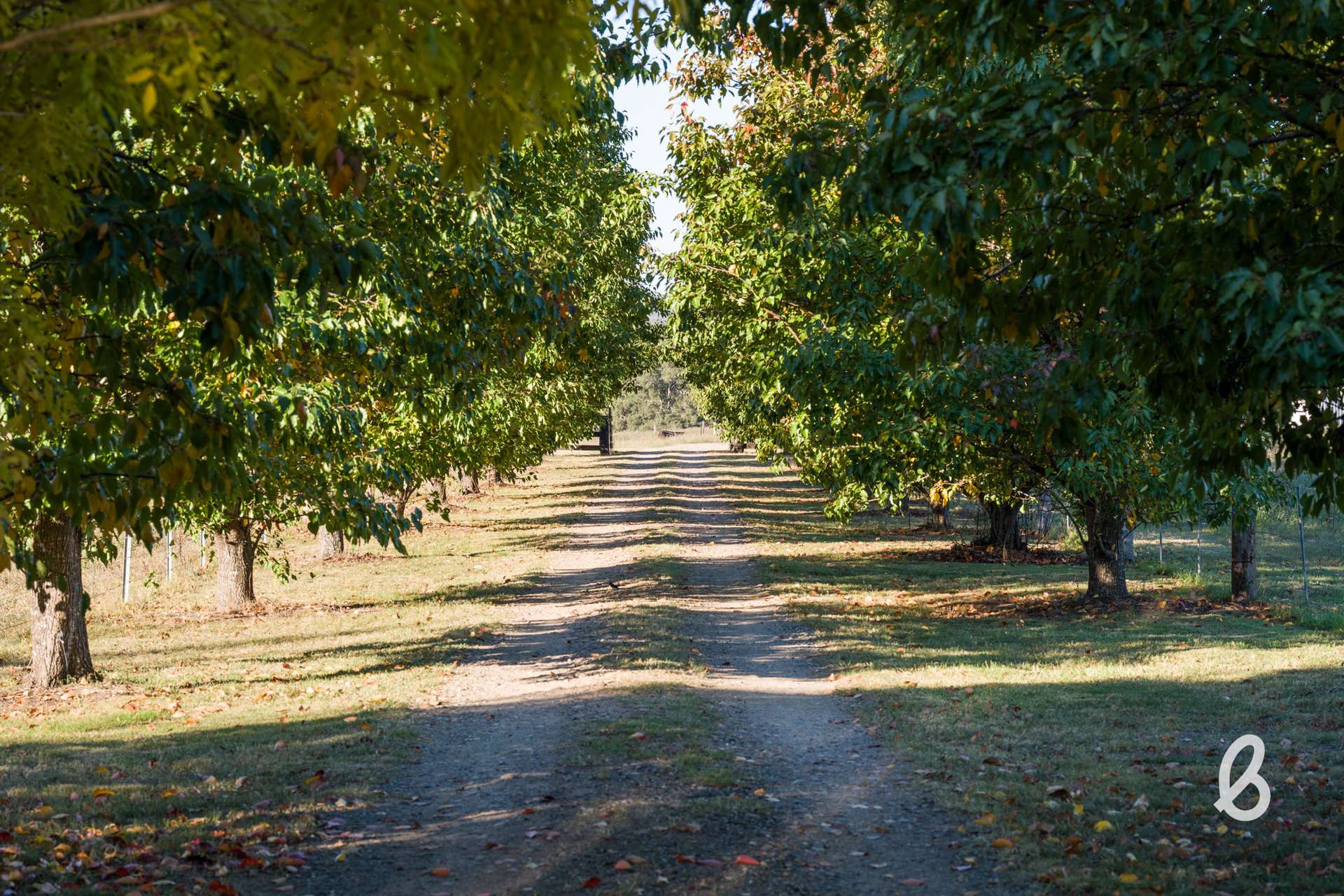 1293 Glendonbrook Road, Glendon Brook For Sale by Farmbuy.com - image 27