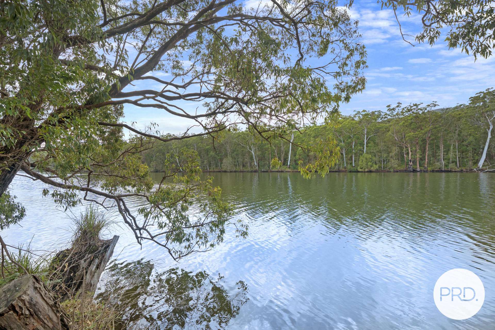 4400 Pacific Highway, Rossglen For Sale by Farmbuy.com - image 3