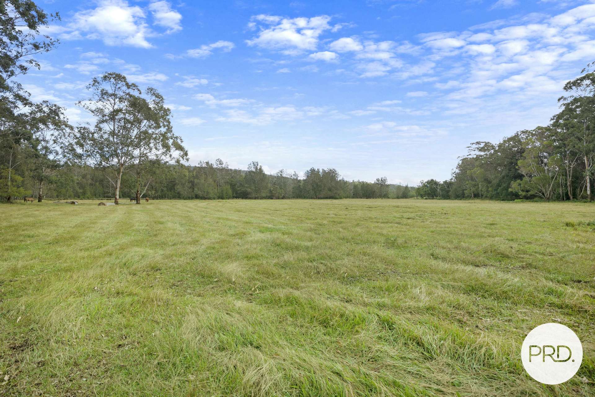 4400 Pacific Highway, Rossglen For Sale by Farmbuy.com - image 27