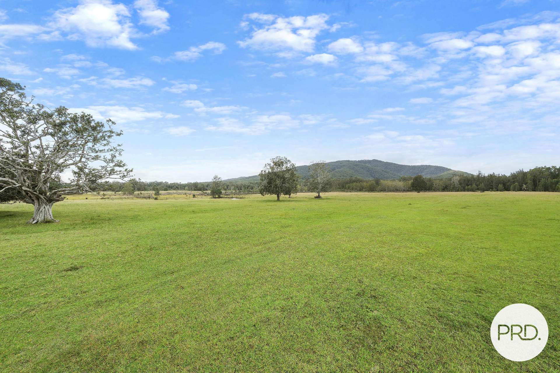 4400 Pacific Highway, Rossglen For Sale by Farmbuy.com - image 12