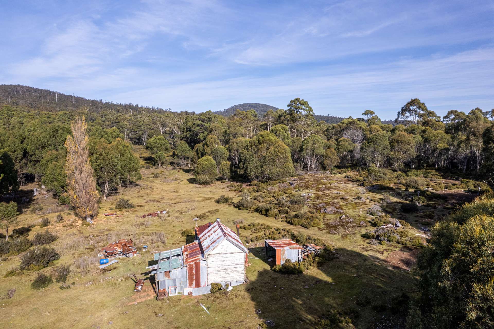 Lot 1,  Lyell Highway, Derwent Bridge For Sale by Farmbuy.com - image 9
