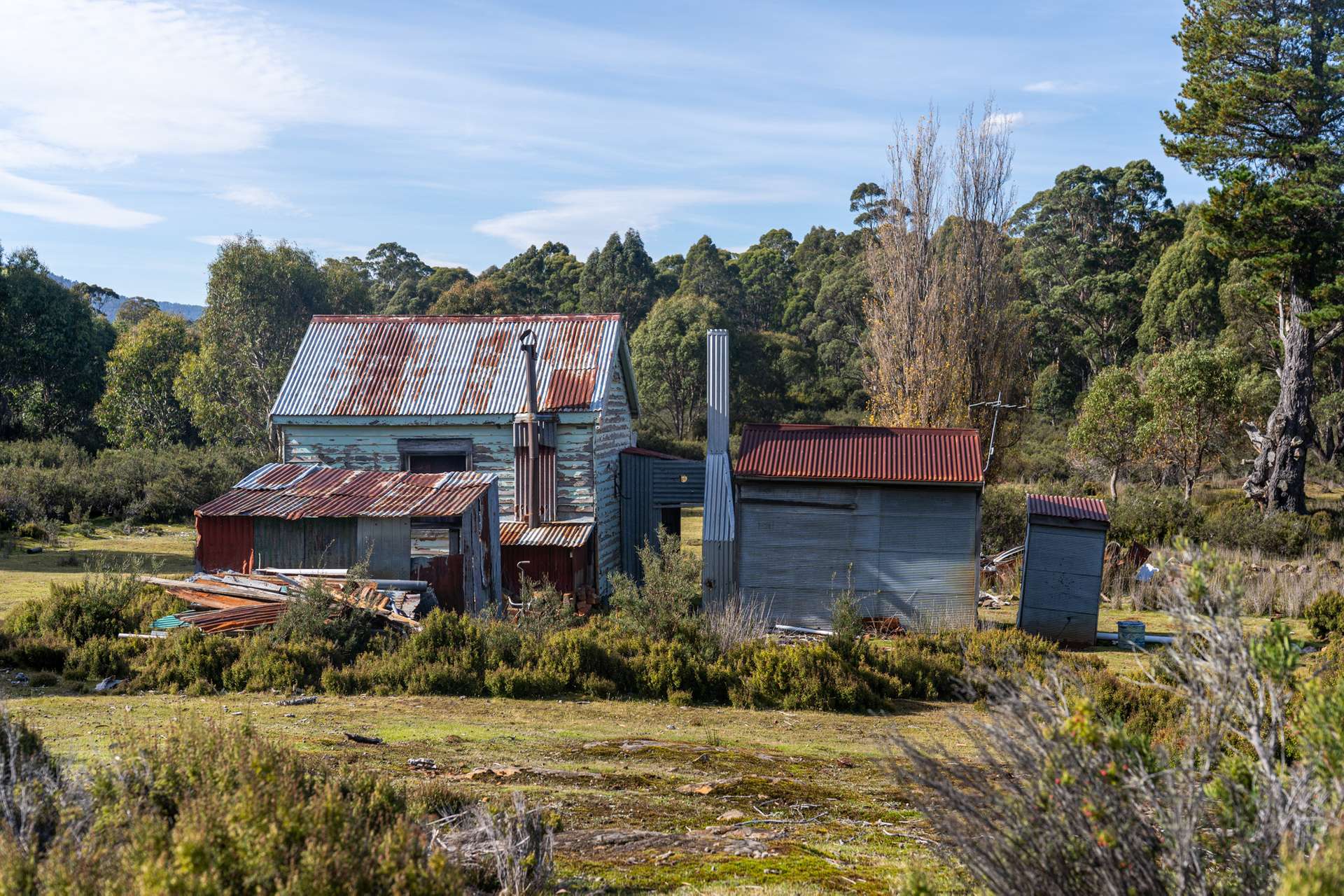 Lot 1,  Lyell Highway, Derwent Bridge For Sale by Farmbuy.com - image 27