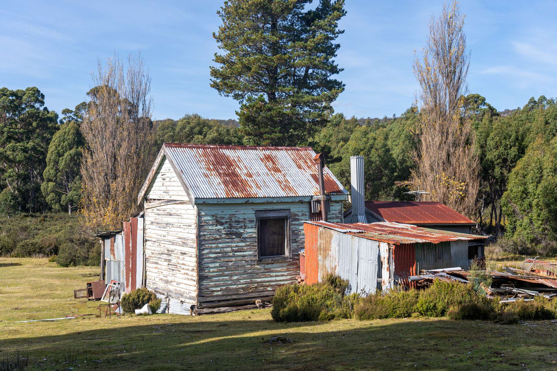 Lot 1,  Lyell Highway, Derwent Bridge For Sale by Farmbuy.com - image 7