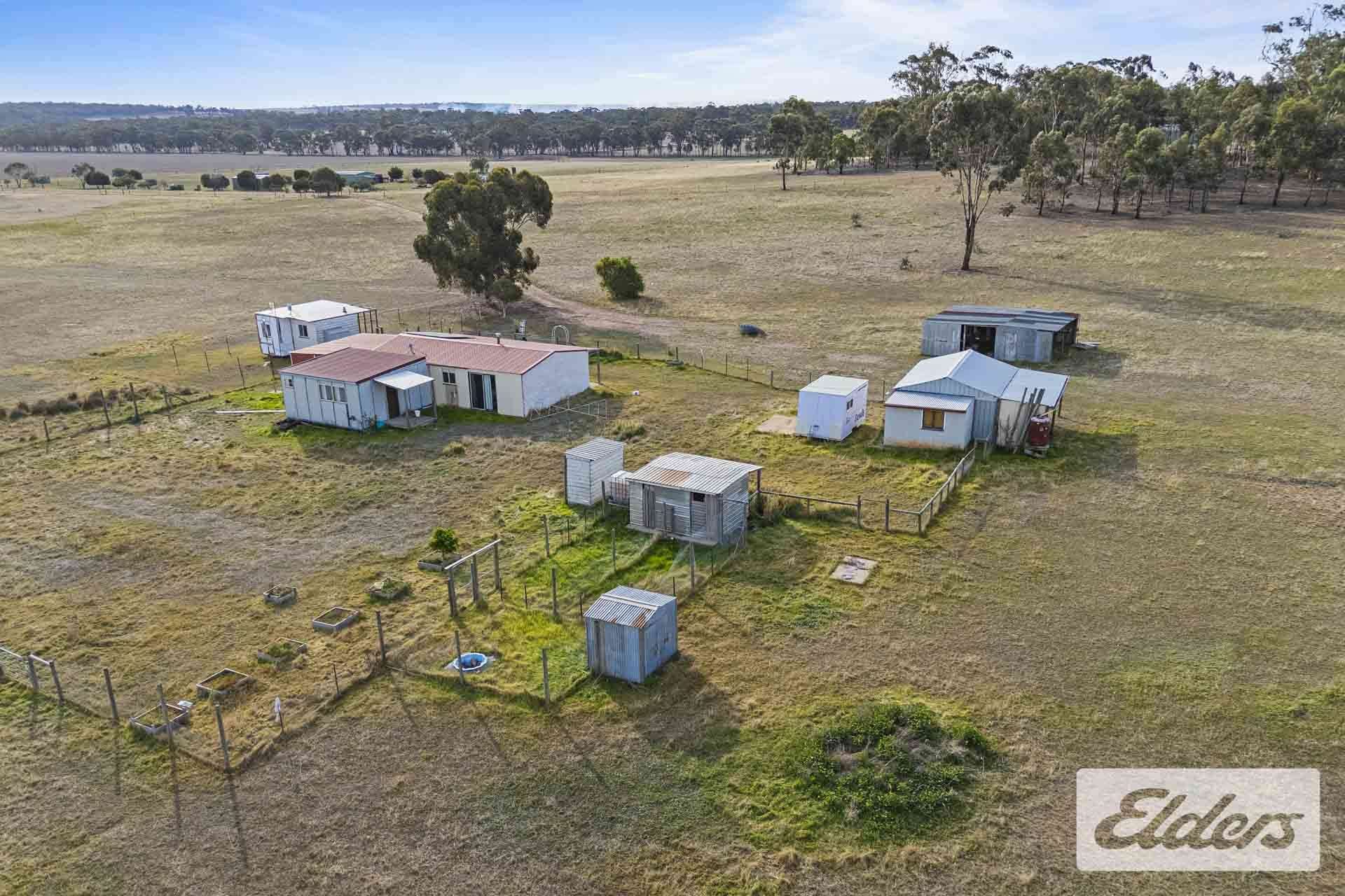 617 Ponderosa Road, Bealiba For Sale by Farmbuy.com - image 15