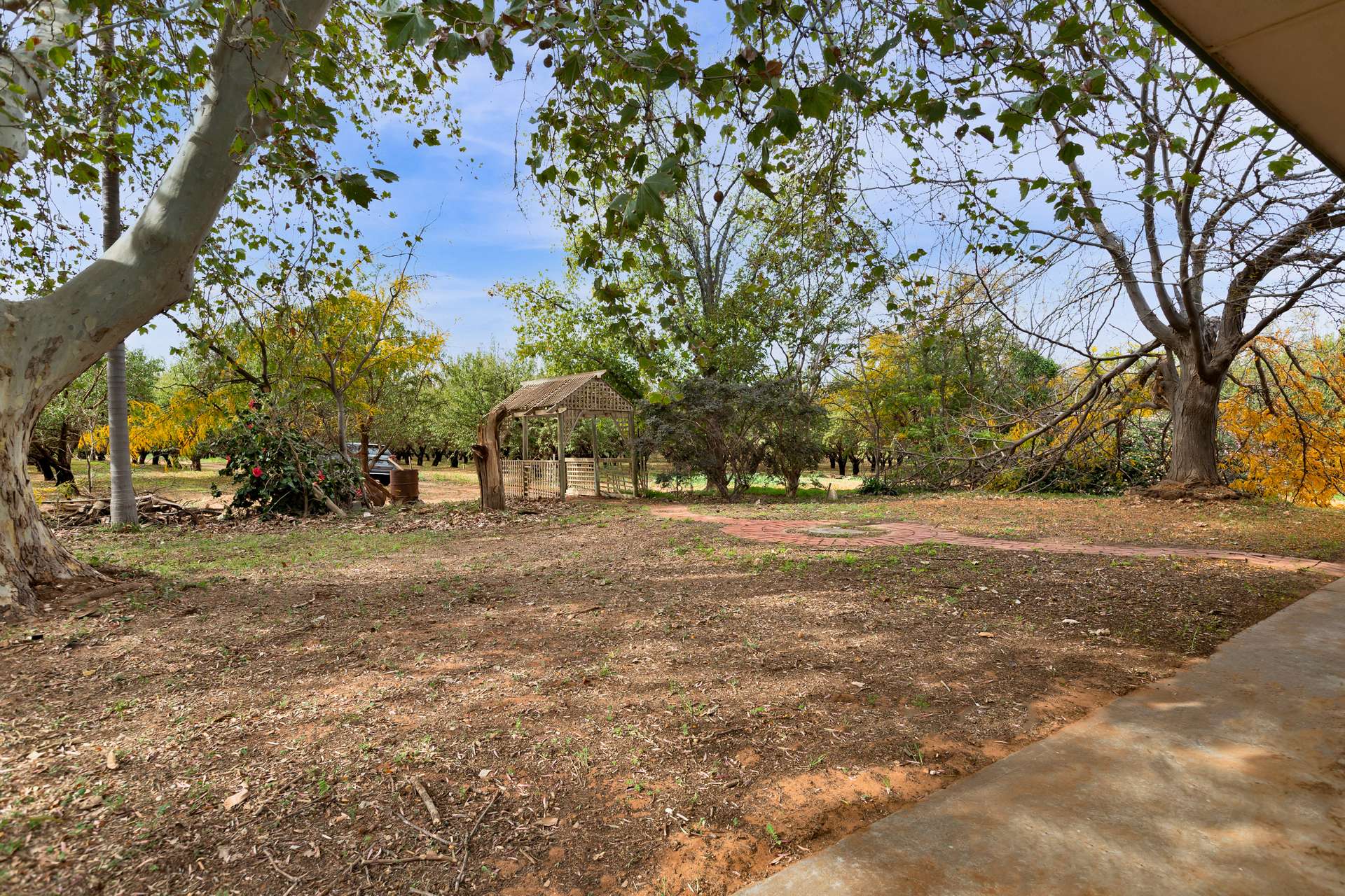 108 Tulloch Road, Red Cliffs For Sale by Farmbuy.com - image 24