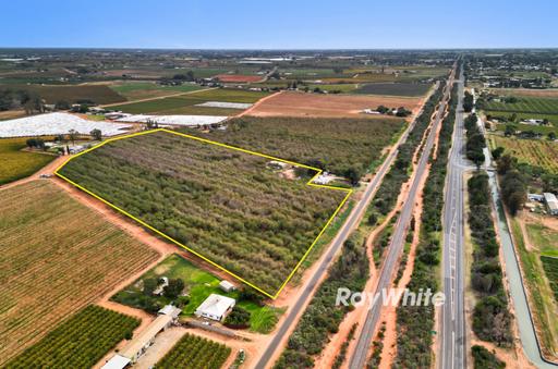 Farm For Sale - VIC - Red Cliffs - 3496 - Ready and Waiting for you. 