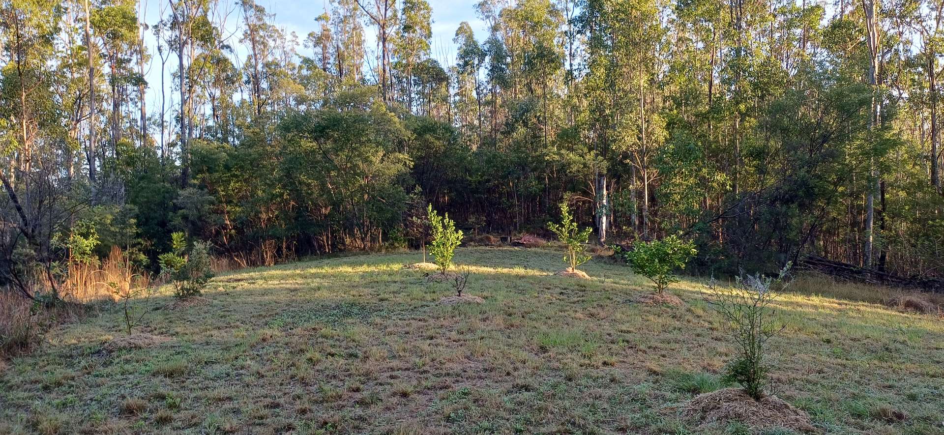 210 Laytons Range Road, Nymboida For Sale by Farmbuy.com - image 8