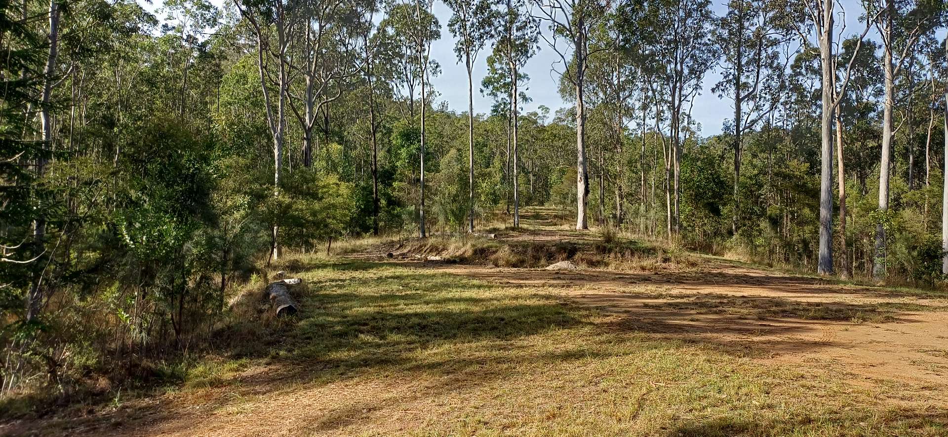 210 Laytons Range Road, Nymboida For Sale by Farmbuy.com - image 6