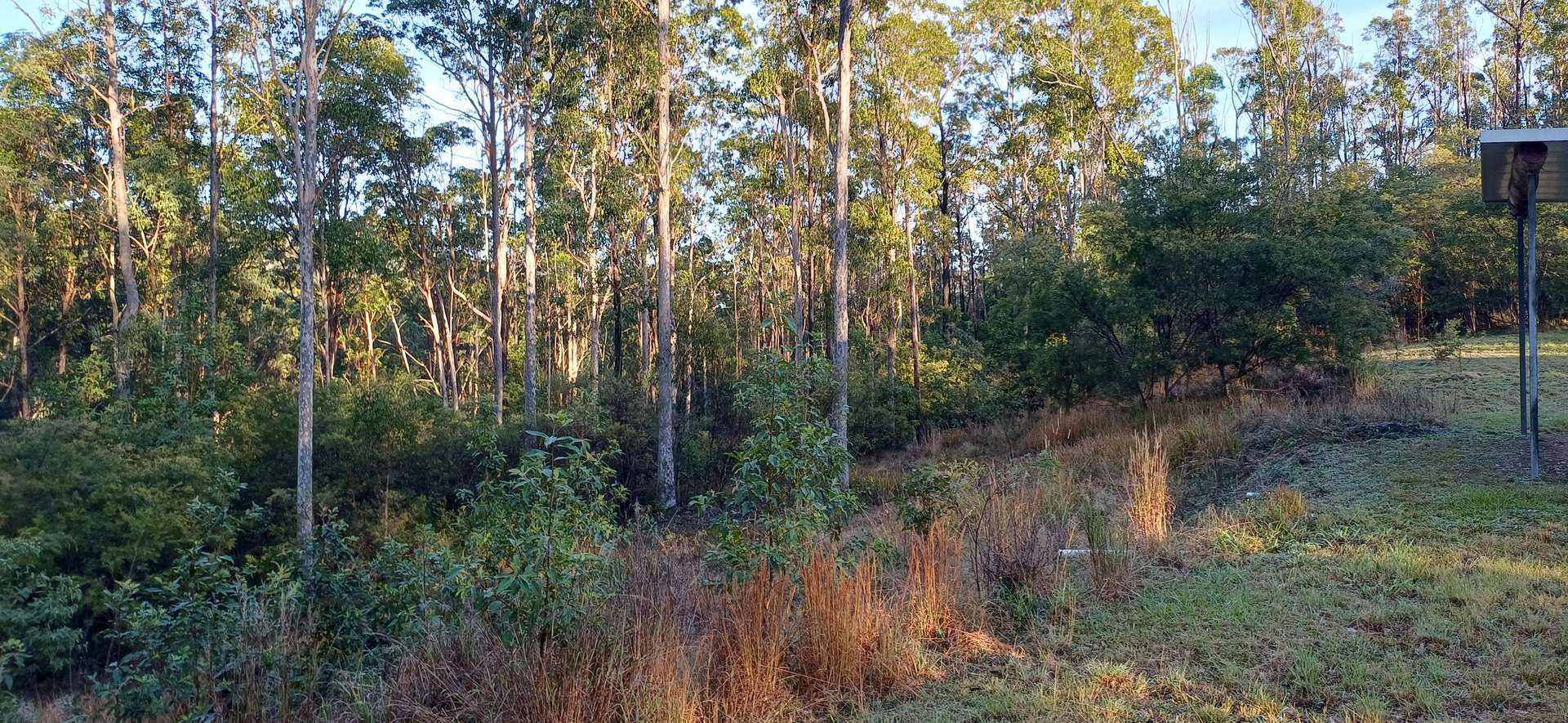 210 Laytons Range Road, Nymboida For Sale by Farmbuy.com - image 9