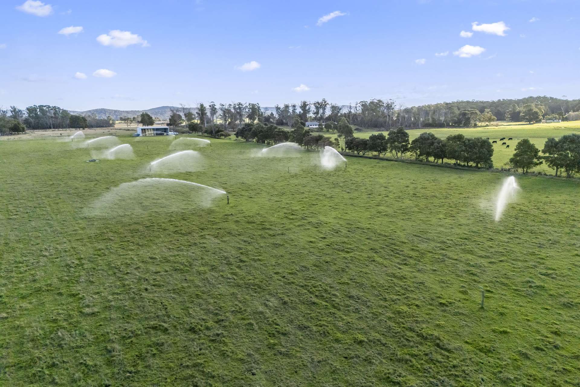 290 Batman Highway, Sidmouth Auction by Farmbuy.com - image 6