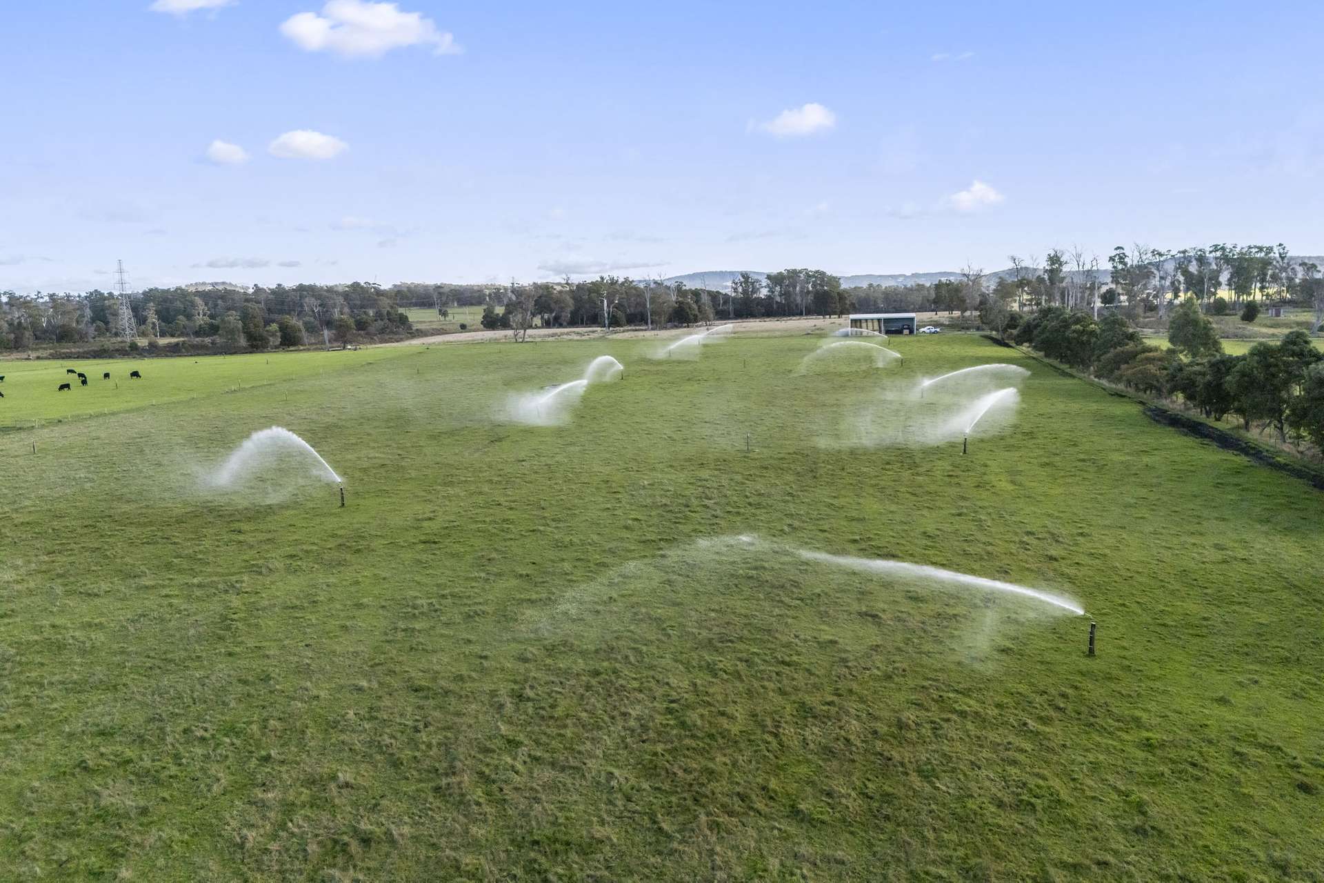290 Batman Highway, Sidmouth Auction by Farmbuy.com - image 35