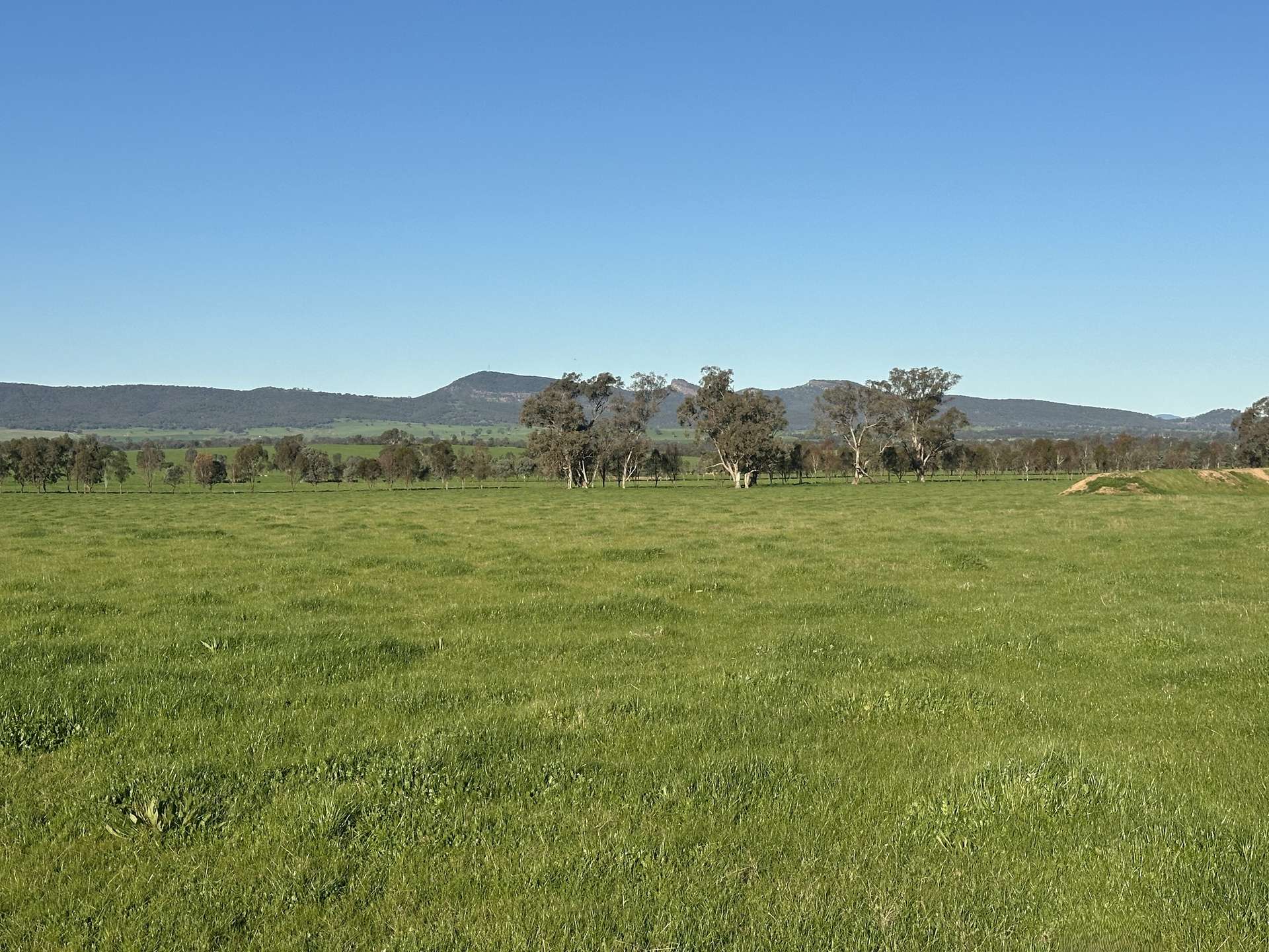 789 Walla Walla Road, Gerogery For Sale by Farmbuy.com - image 33