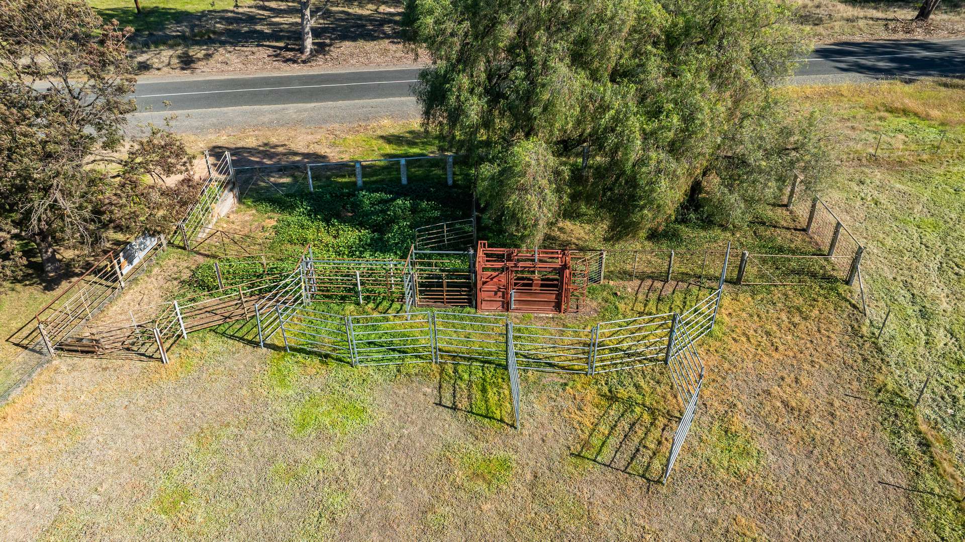 789 Walla Walla Road, Gerogery For Sale by Farmbuy.com - image 10