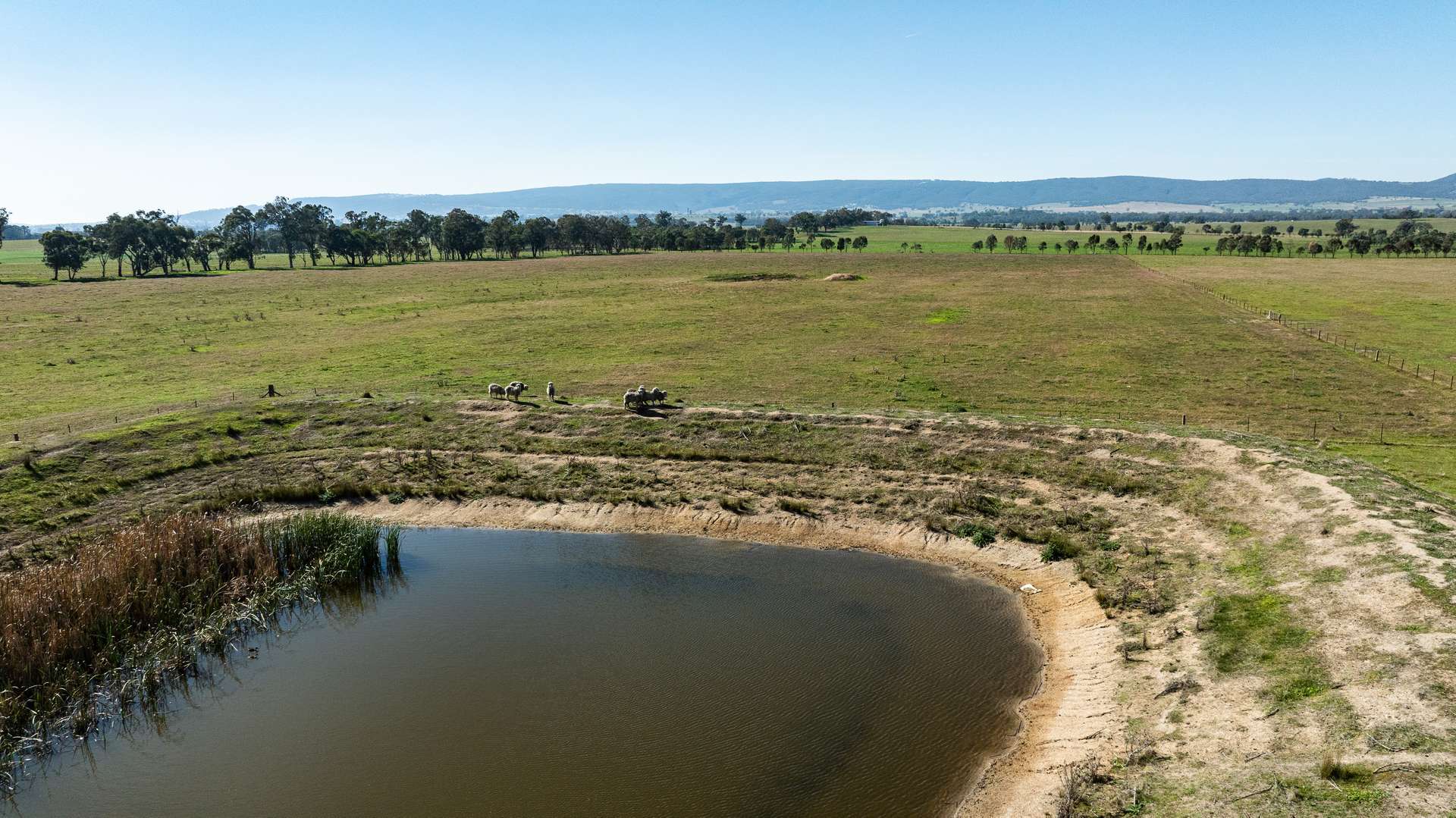 789 Walla Walla Road, Gerogery For Sale by Farmbuy.com - image 26