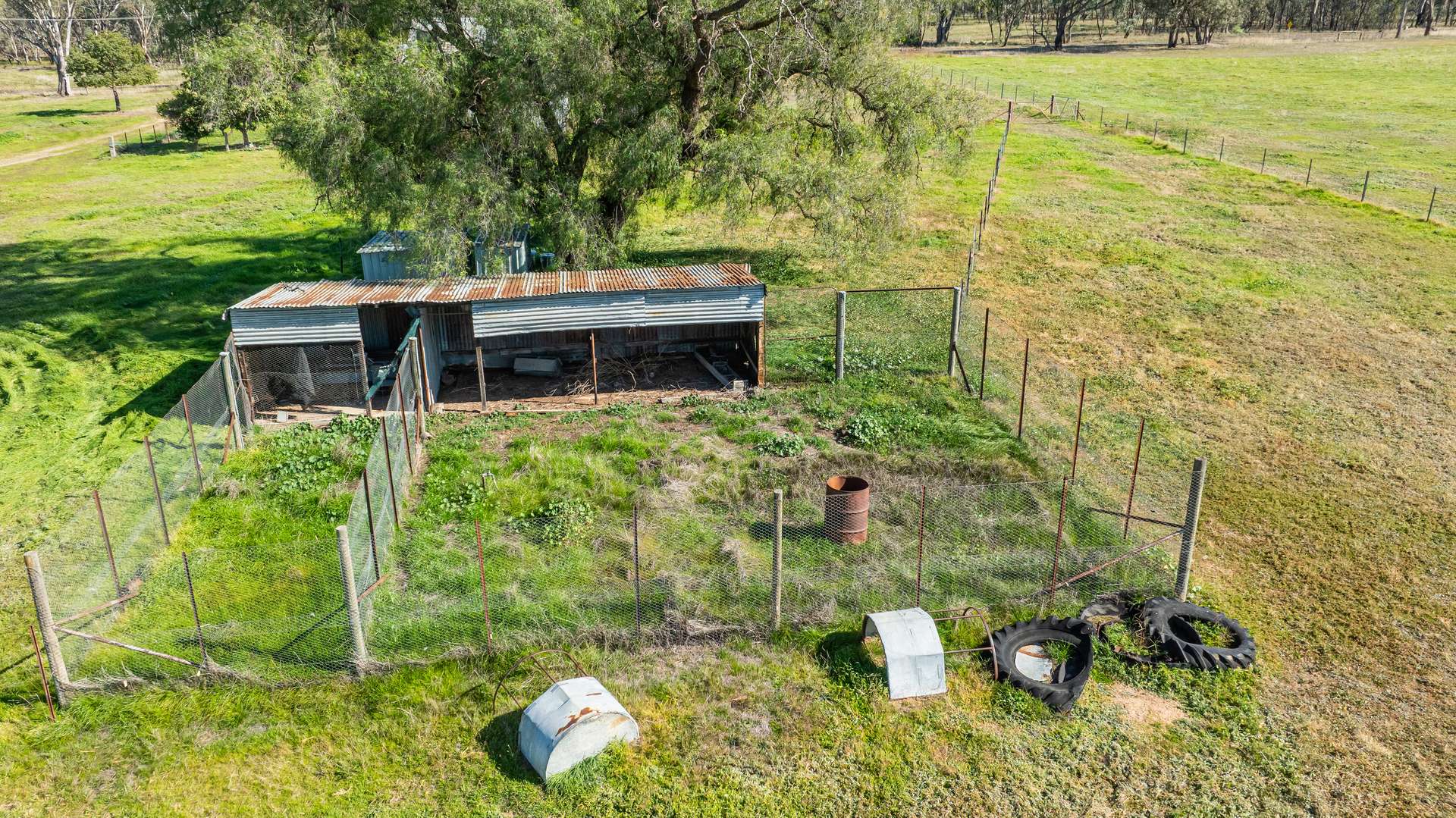 789 Walla Walla Road, Gerogery For Sale by Farmbuy.com - image 22