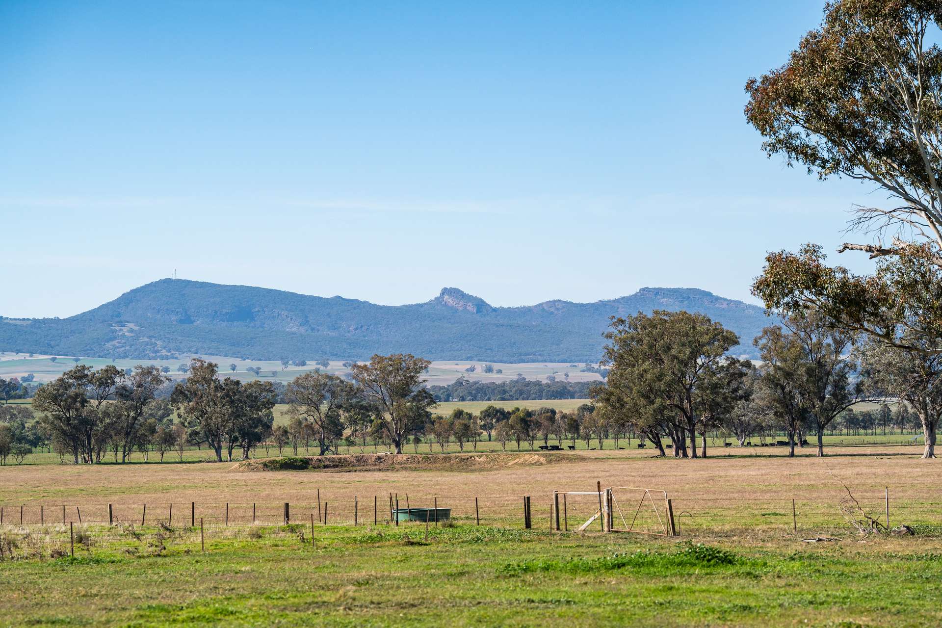 789 Walla Walla Road, Gerogery For Sale by Farmbuy.com - image 2