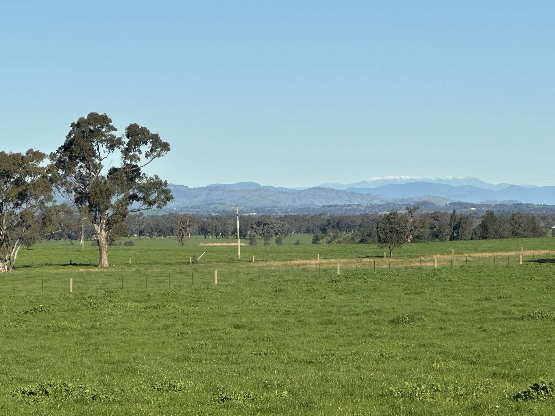 789 Walla Walla Road, Gerogery For Sale by Farmbuy.com - image 4