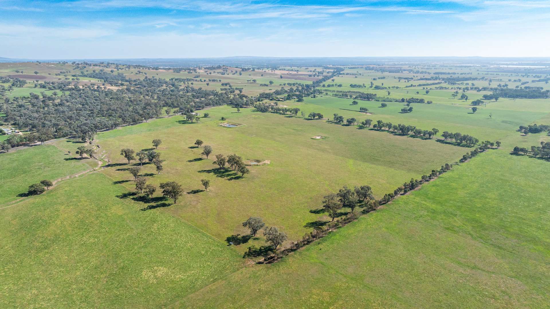 789 Walla Walla Road, Gerogery For Sale by Farmbuy.com - image 35