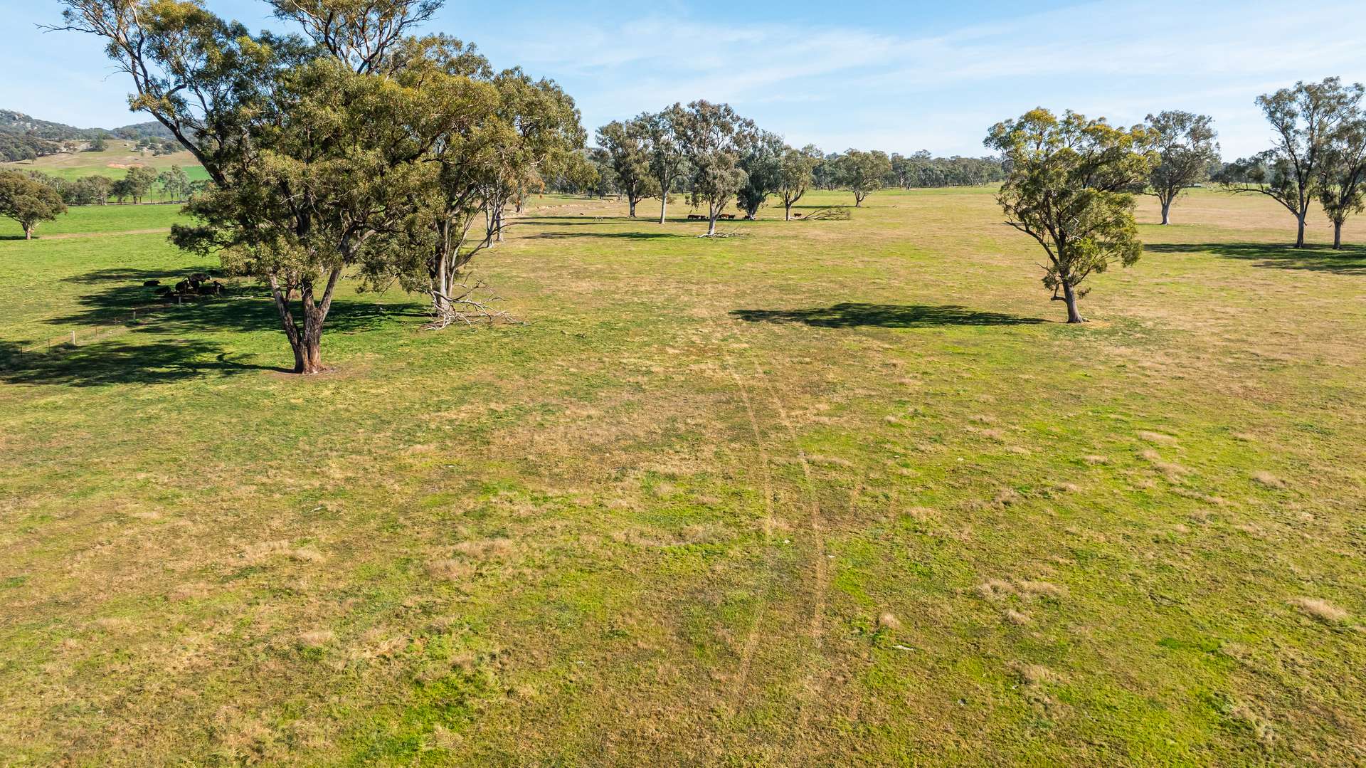 789 Walla Walla Road, Gerogery For Sale by Farmbuy.com - image 29