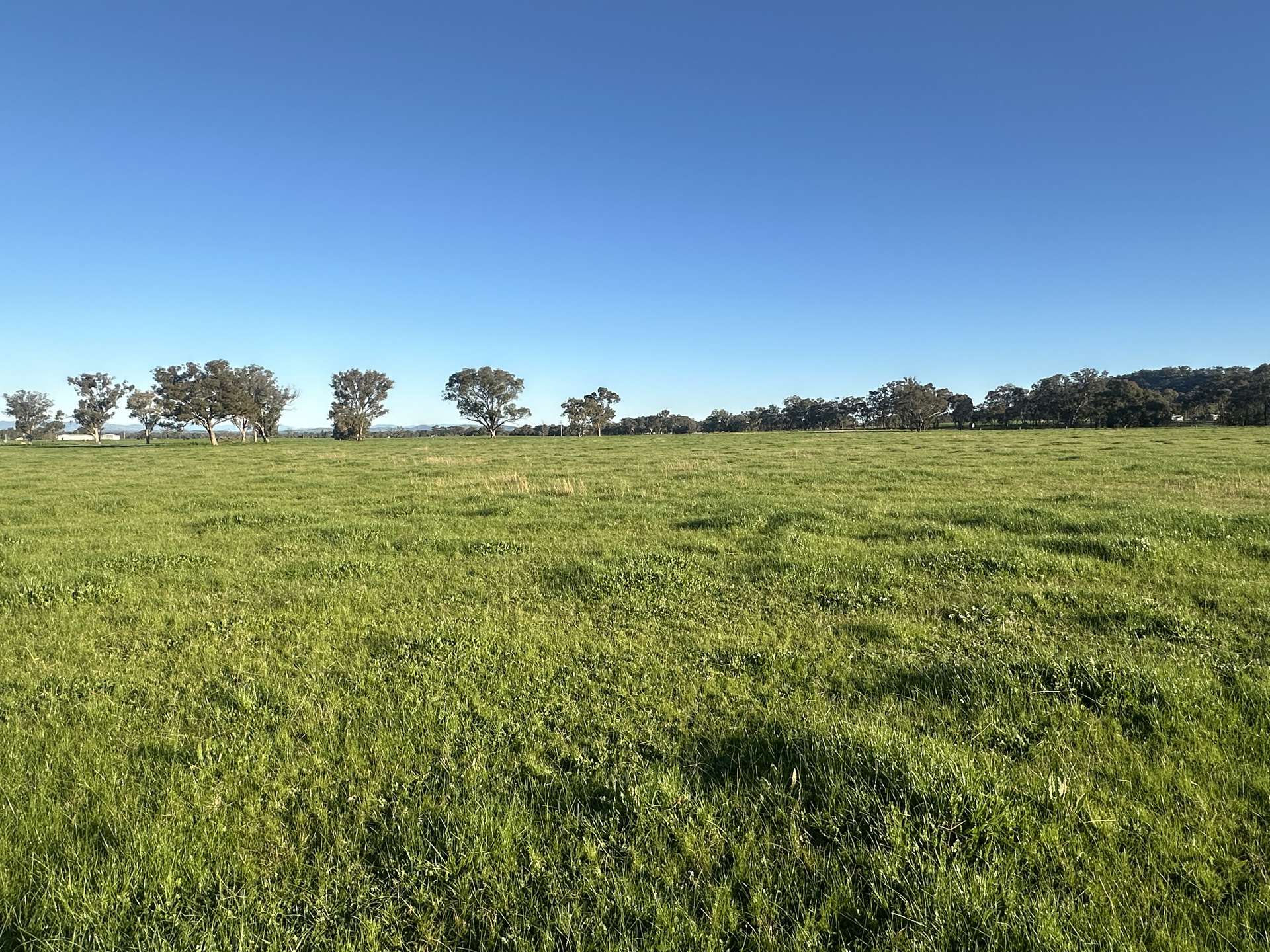 789 Walla Walla Road, Gerogery For Sale by Farmbuy.com - image 19