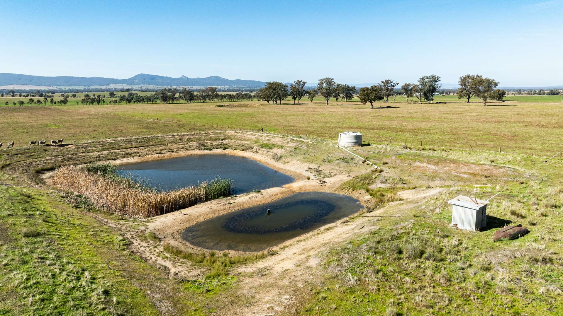 789 Walla Walla Road, Gerogery For Sale by Farmbuy.com - image 21
