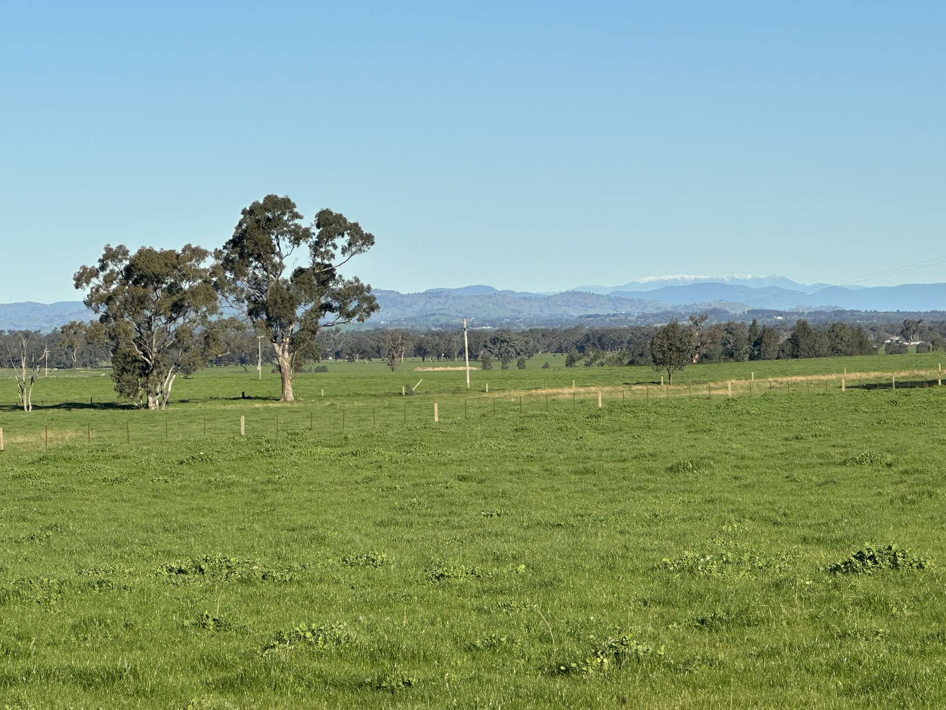 789 Walla Walla Road, Gerogery For Sale by Farmbuy.com - image 18