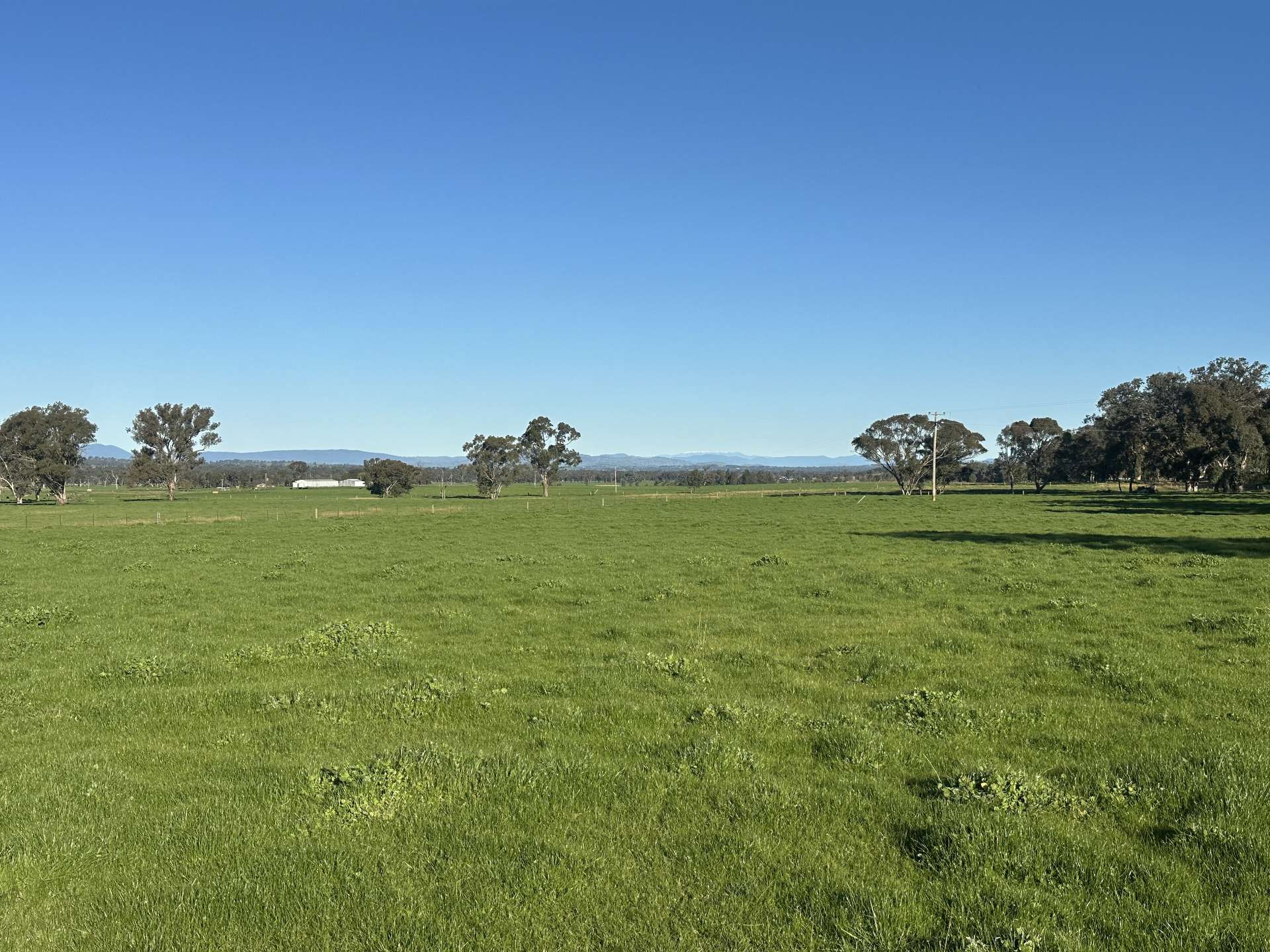 789 Walla Walla Road, Gerogery For Sale by Farmbuy.com - image 16