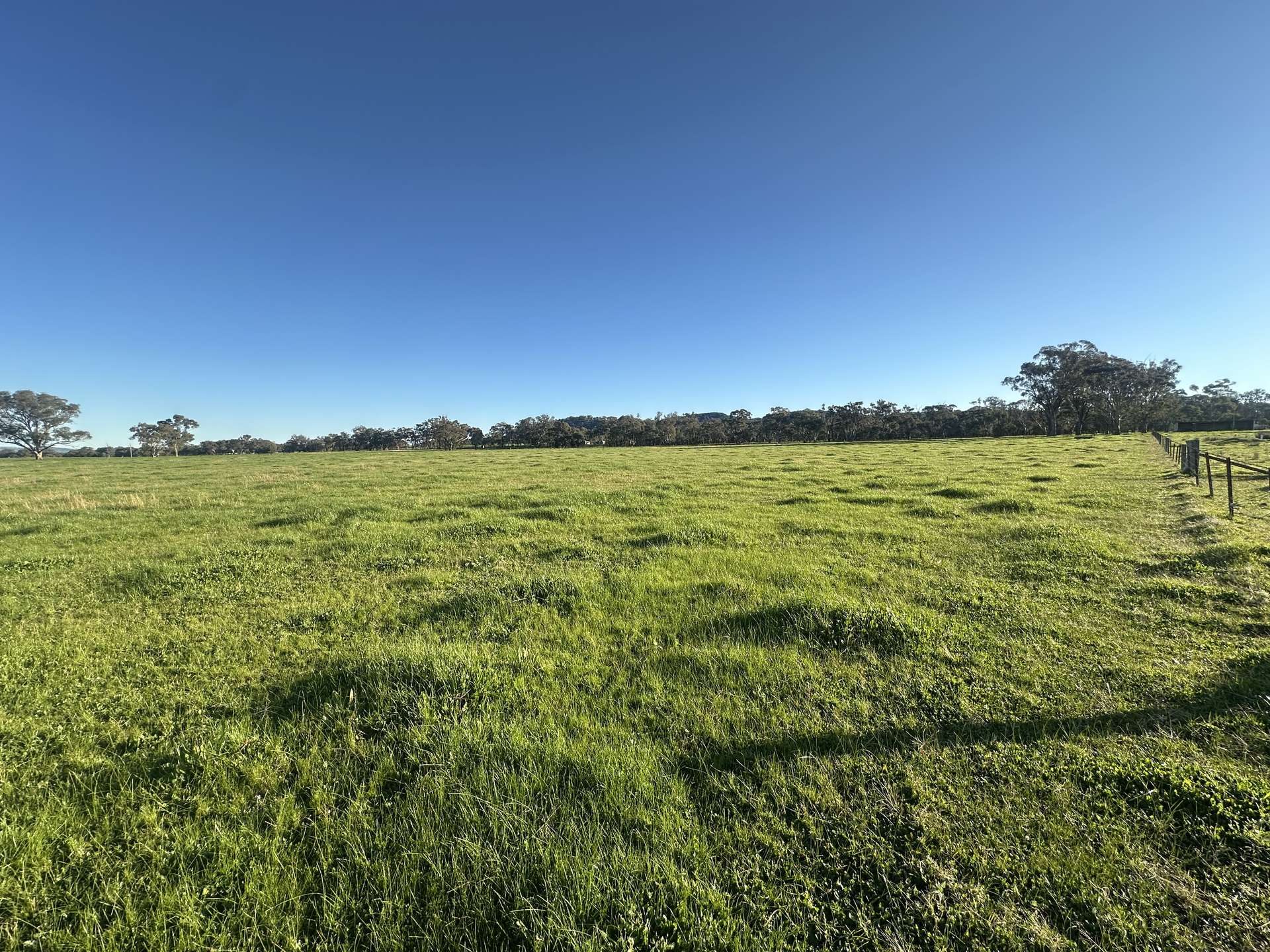 789 Walla Walla Road, Gerogery For Sale by Farmbuy.com - image 31