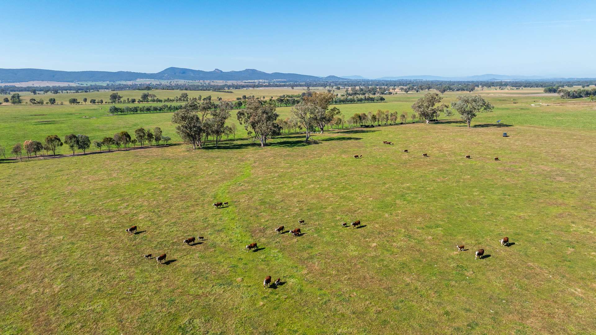 789 Walla Walla Road, Gerogery For Sale by Farmbuy.com - image 30